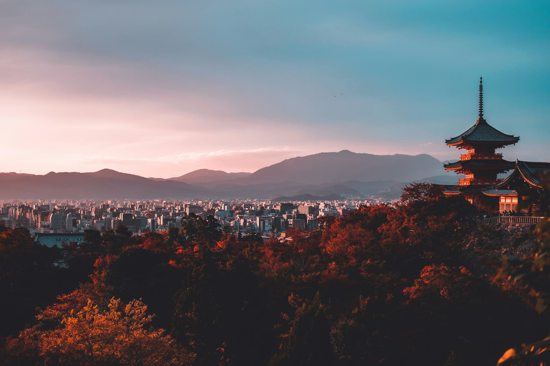 Forêt de bambous d'Arashiyama à Kyoto