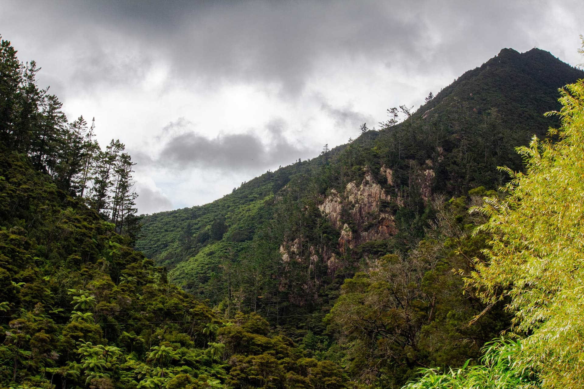 Évasion à Coromandel – Côte Ouest