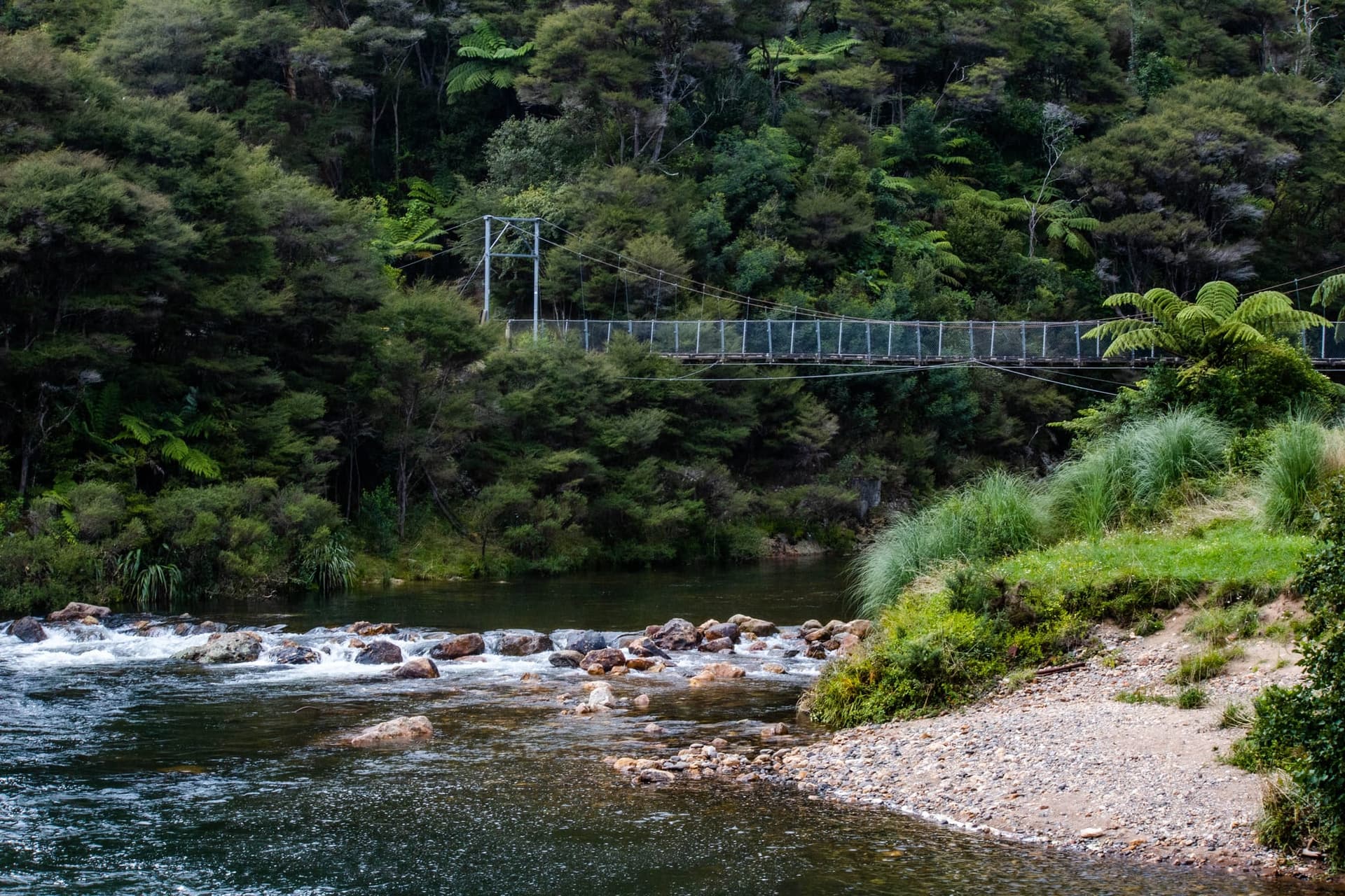 Évasion à Coromandel – Côte Ouest