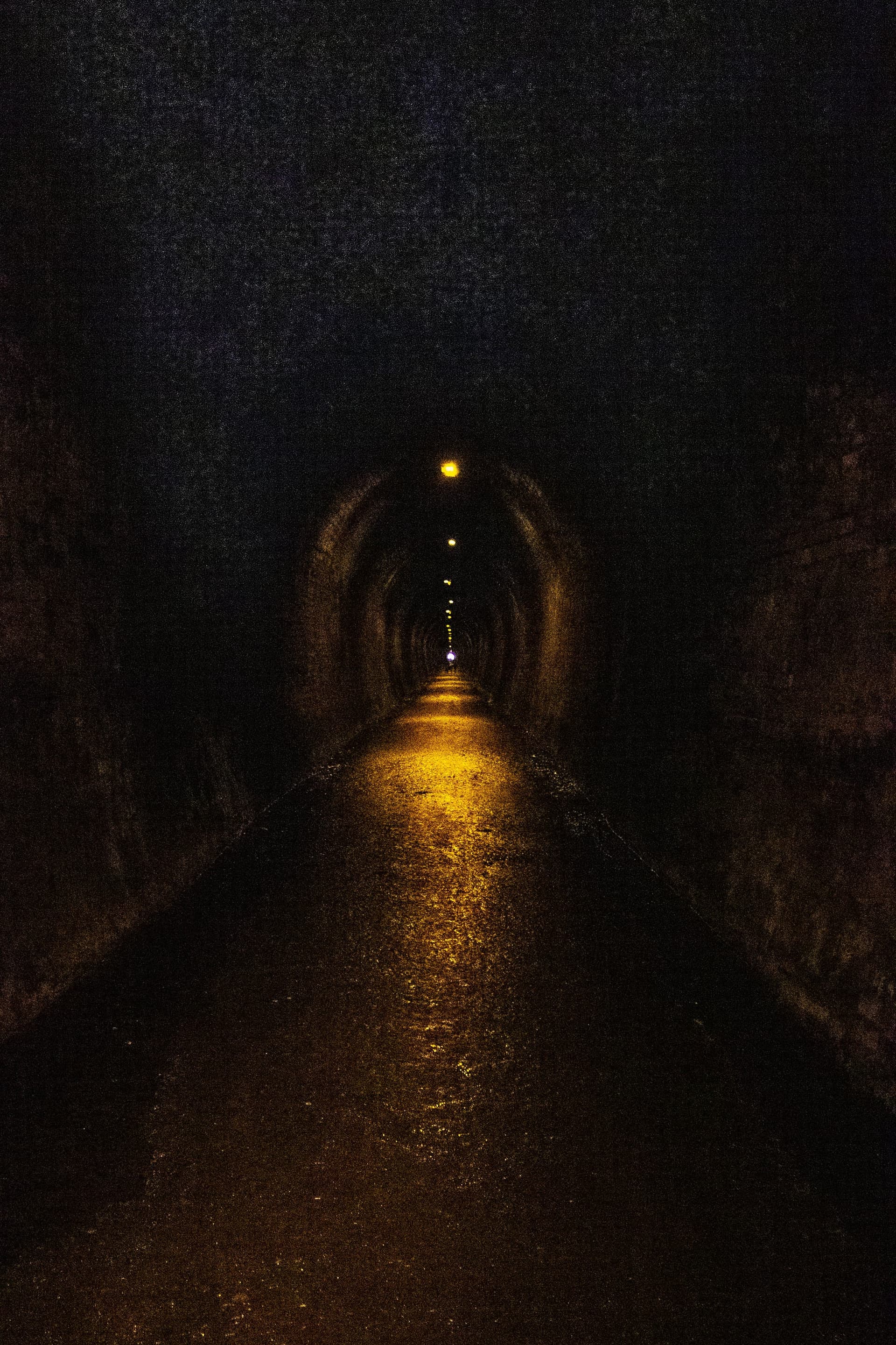 Évasion à Coromandel – Côte Ouest