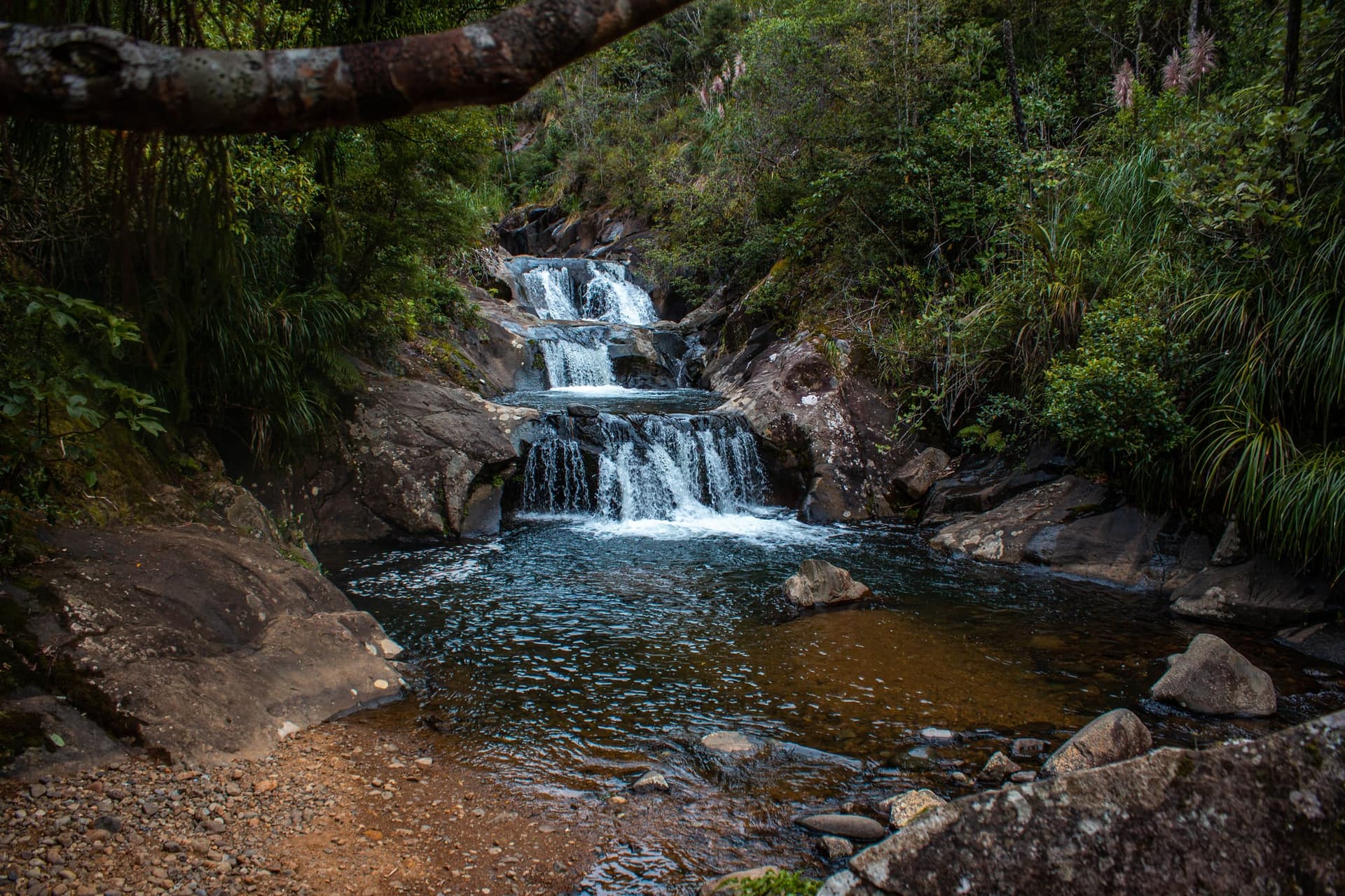 Évasion à Coromandel – Côte Ouest