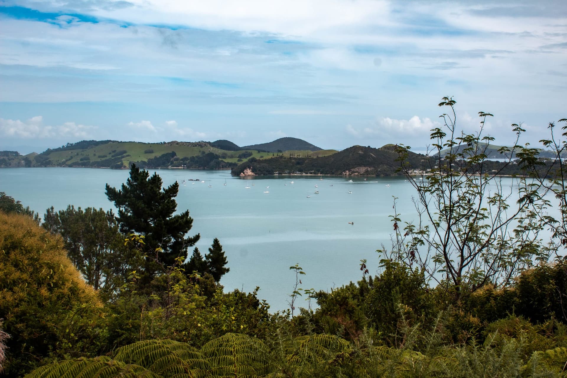 Évasion à Coromandel – Côte Ouest
