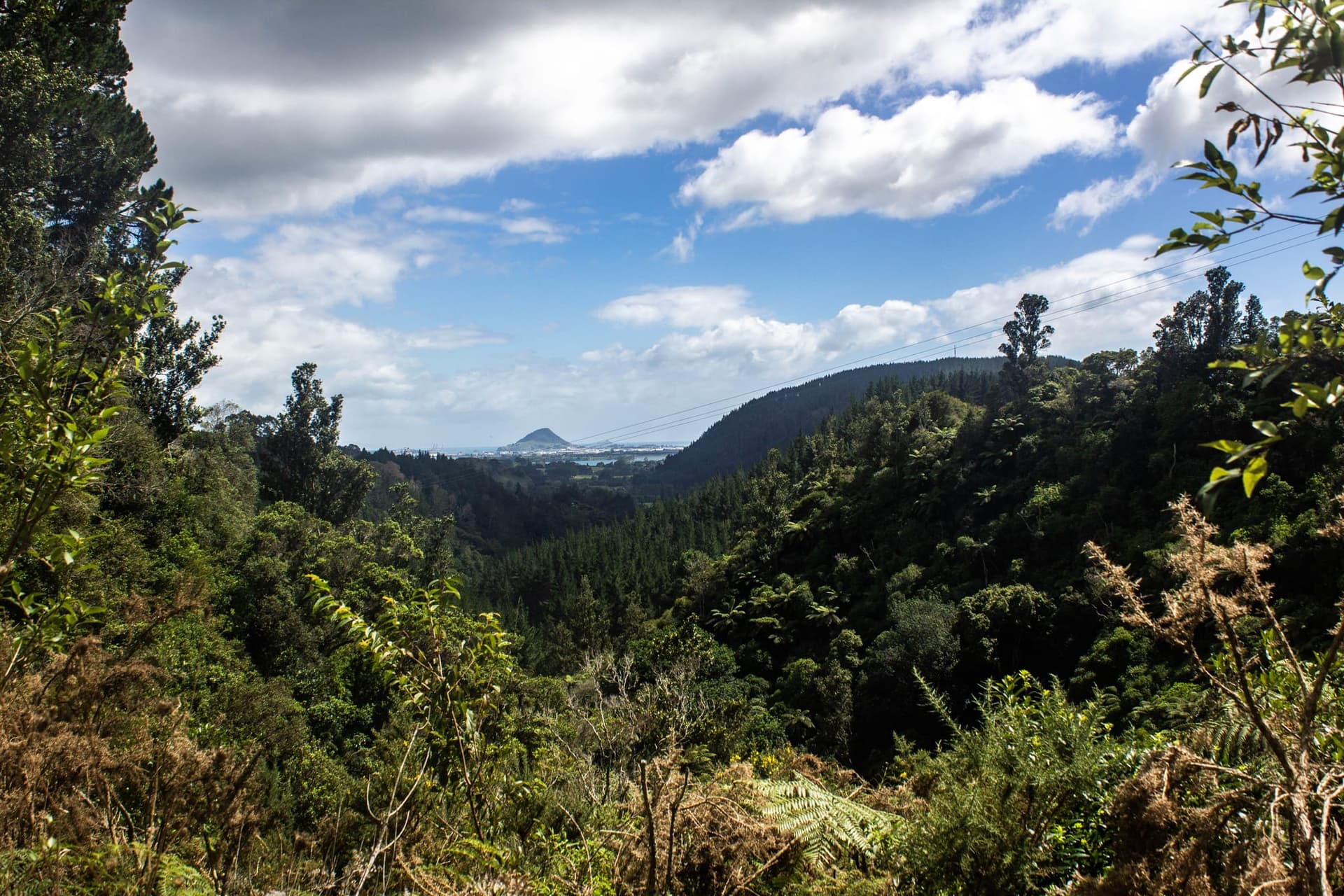 Détente dans la baie de l’Abondance