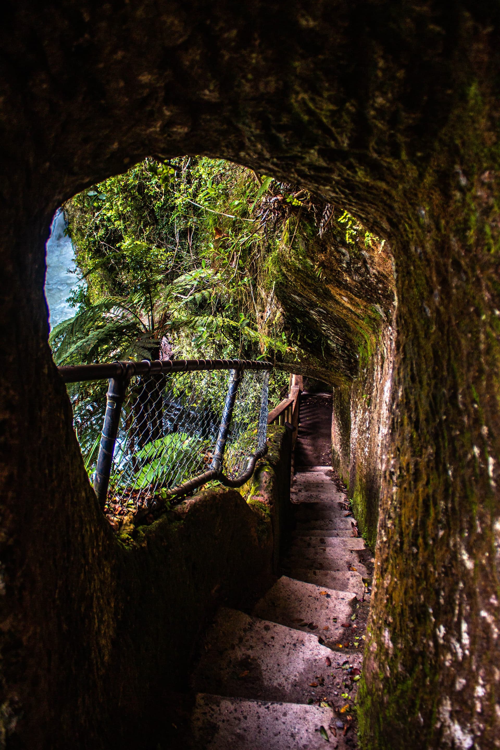 Détente dans la baie de l’Abondance