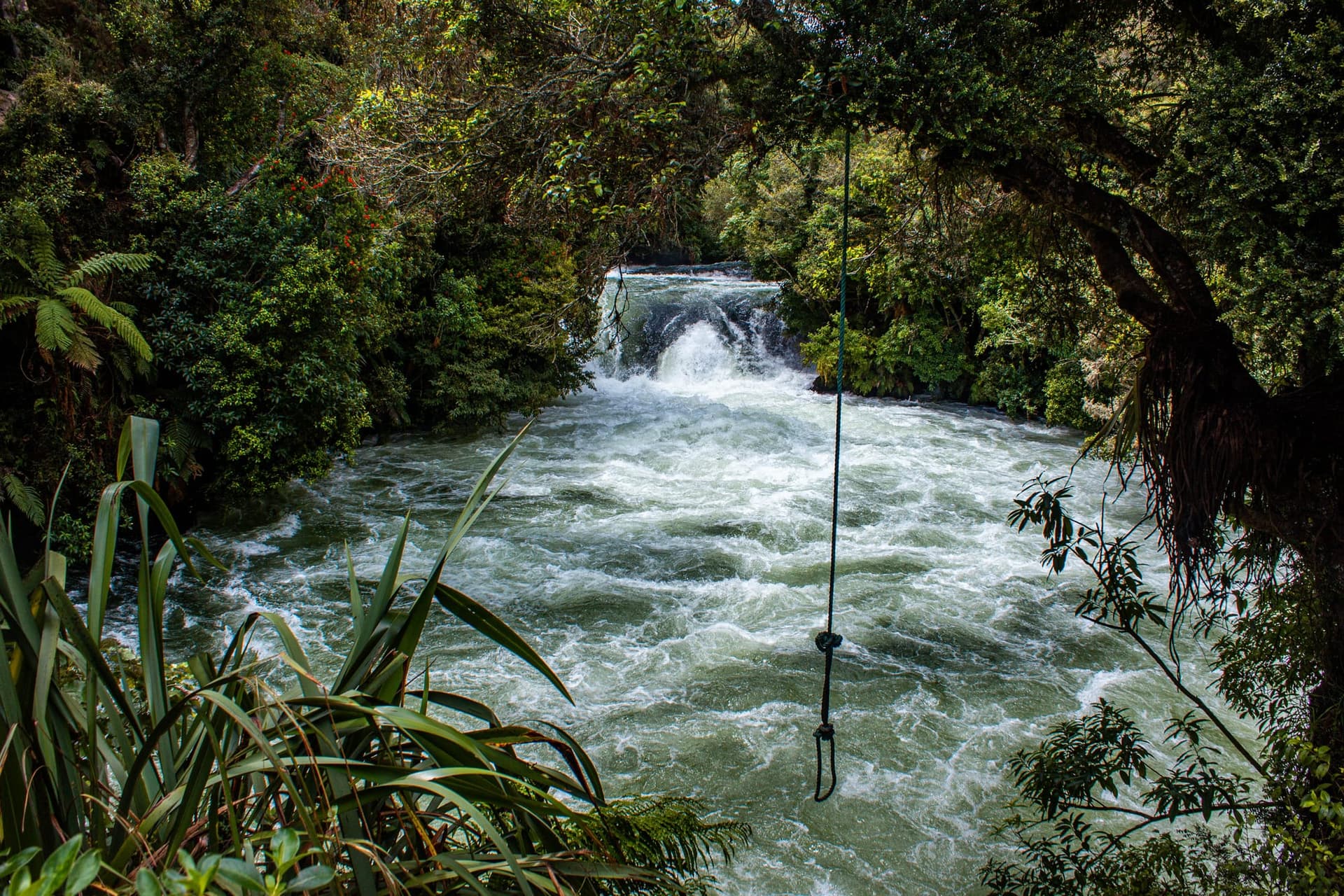 Détente dans la baie de l’Abondance