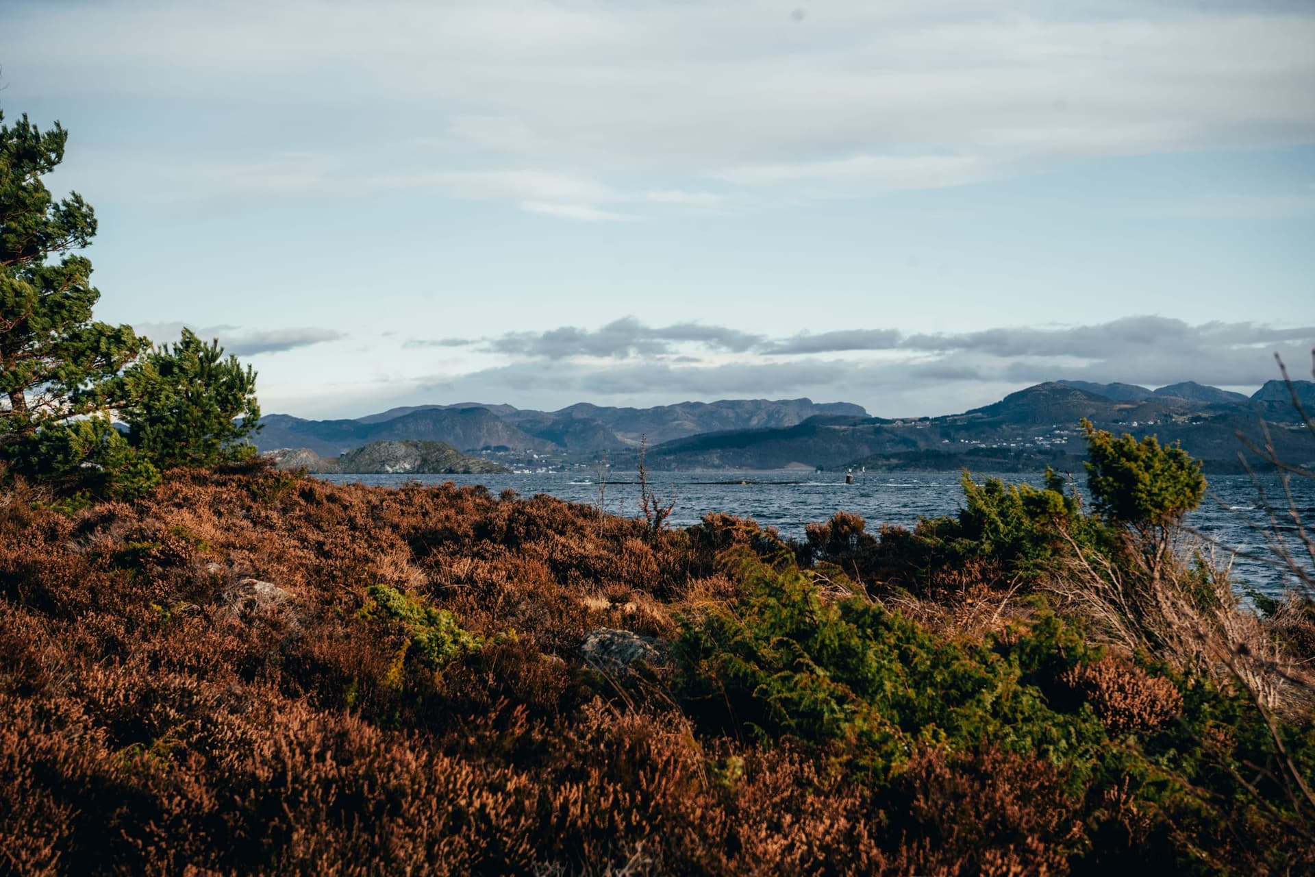 Les îles de Stavanger – Vassøy, Lindøy