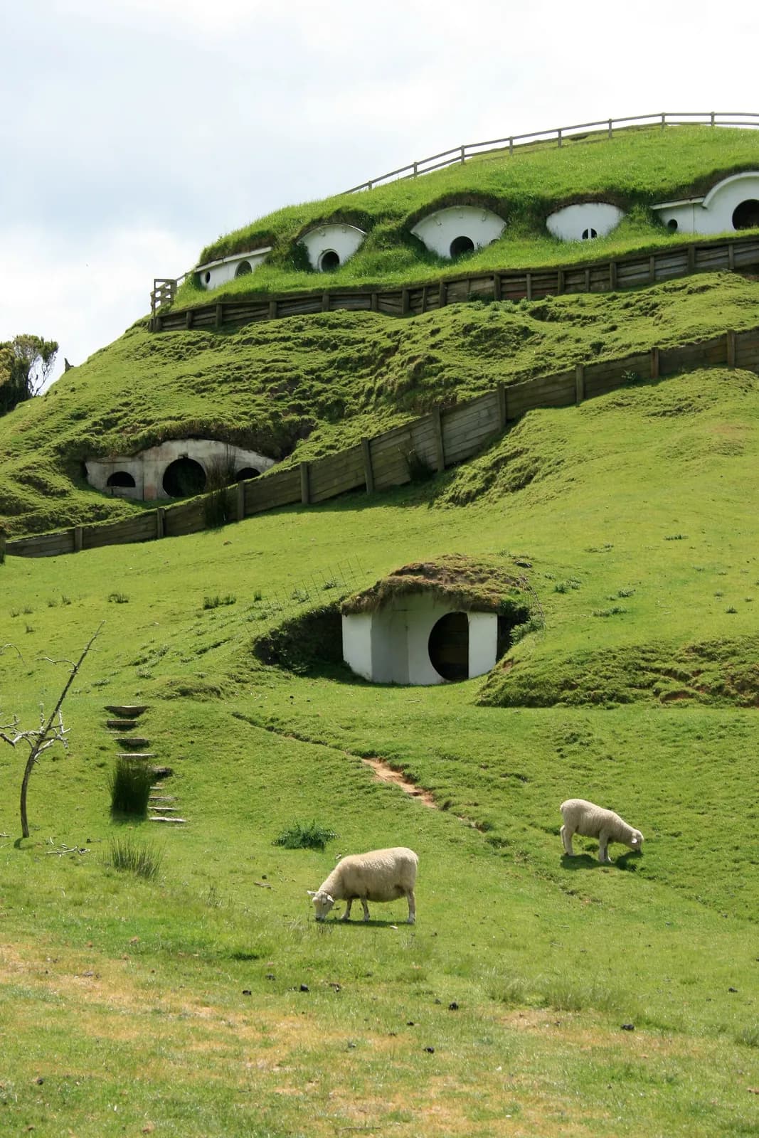 des trous de hobbits aux portes rondes creusés dans une colline verdoyante de Hobbiton
