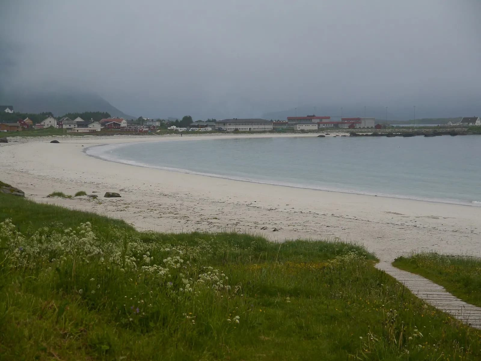 plage de sable blanc bordée de fleurs sauvages et de maisons sur l'île de Moskenesøya