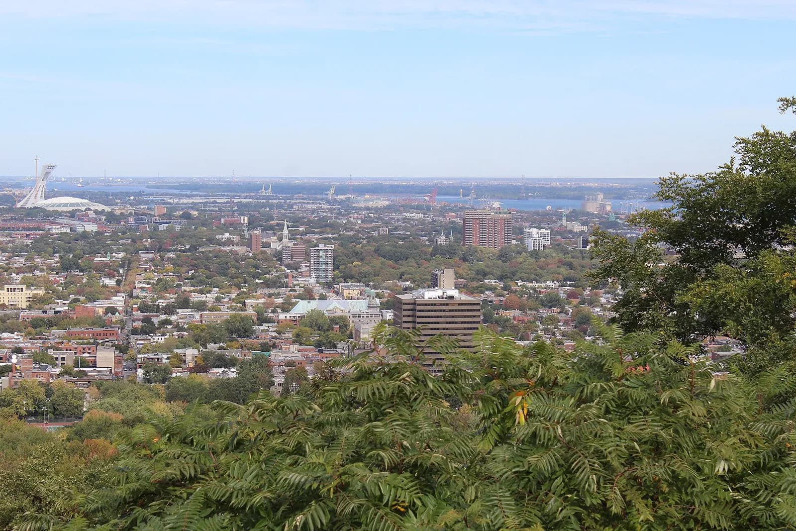 vue sur Montréal et le Stade olympique depuis un belvédère boisé du parc du Mont-Royal