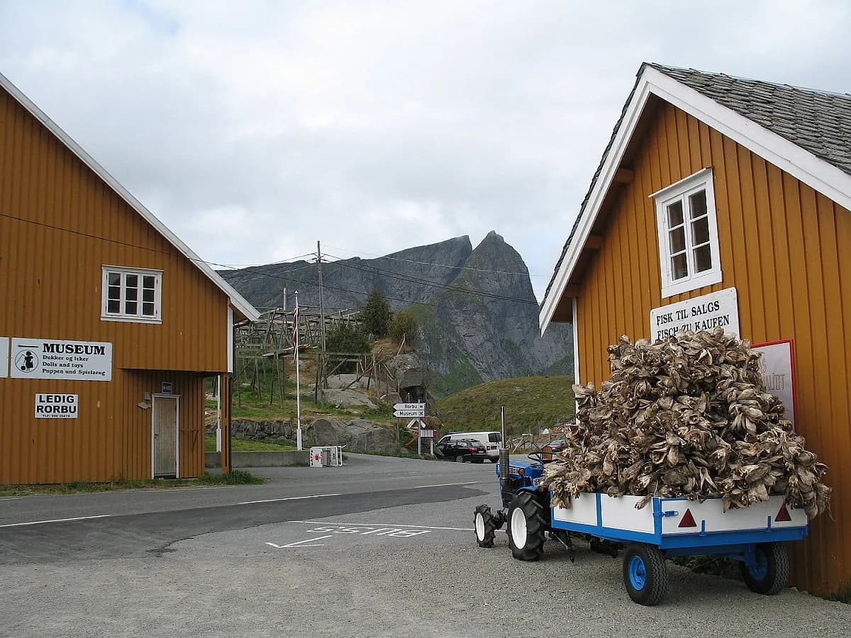 maisons jaunes de l'îlot de Sakrisøy près de Reine, avec une remorque chargée de morue séchée