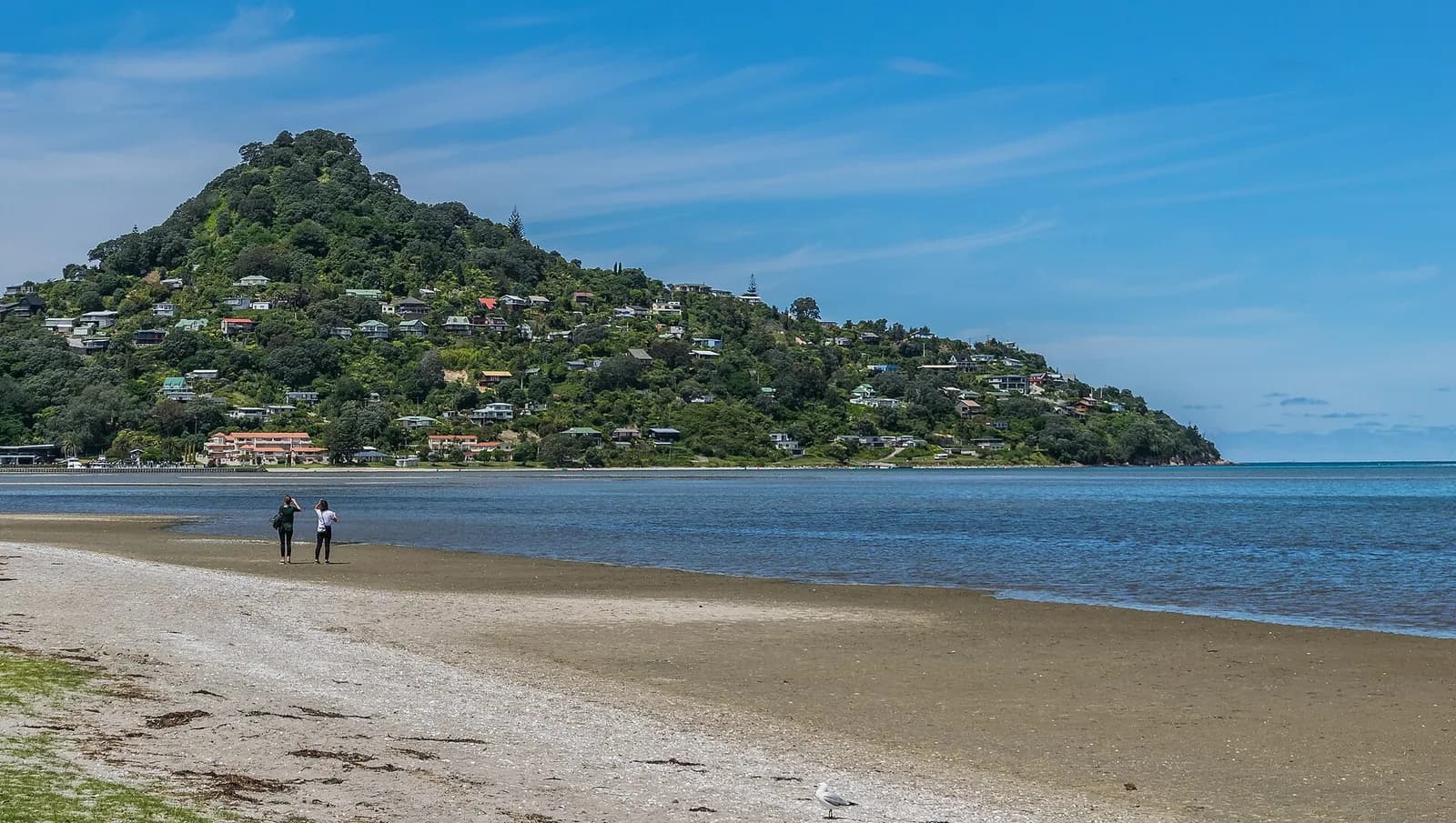 le mont Paku, colline volcanique boisée, se dresse au-dessus de la plage de Tairua