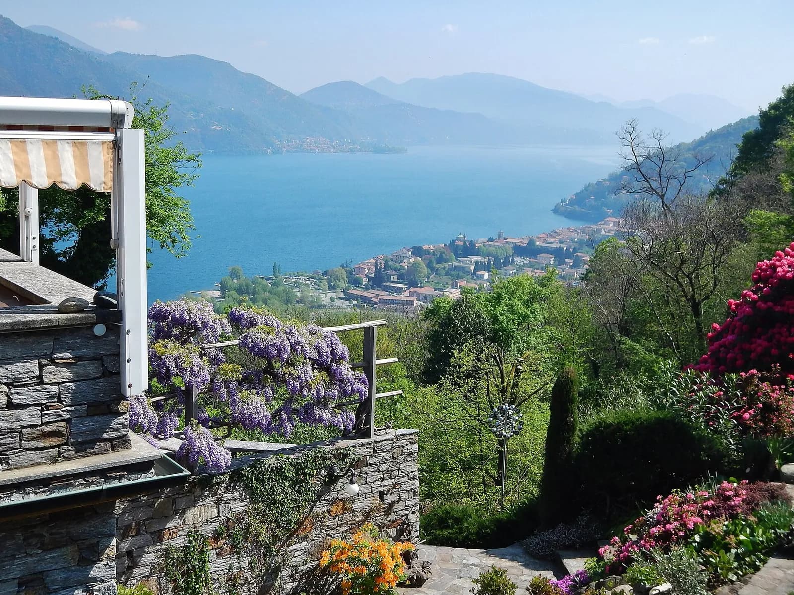 vue sur le lac Majeur et Cannobio depuis les hauteurs fleuries de glycine