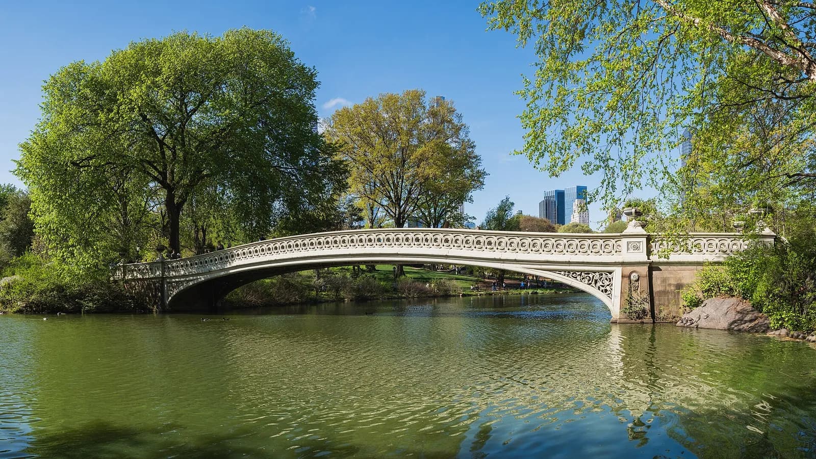 Bow Bridge, pont en fonte aux courbes élégantes qui enjambe le lac de Central Park