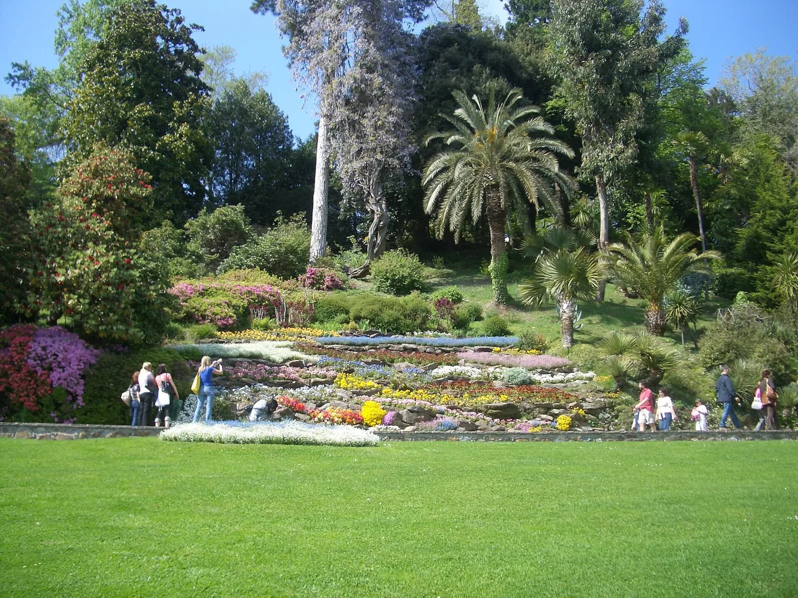pelouse, palmiers et massifs fleuris dans le jardin botanique de la Villa Carlotta
