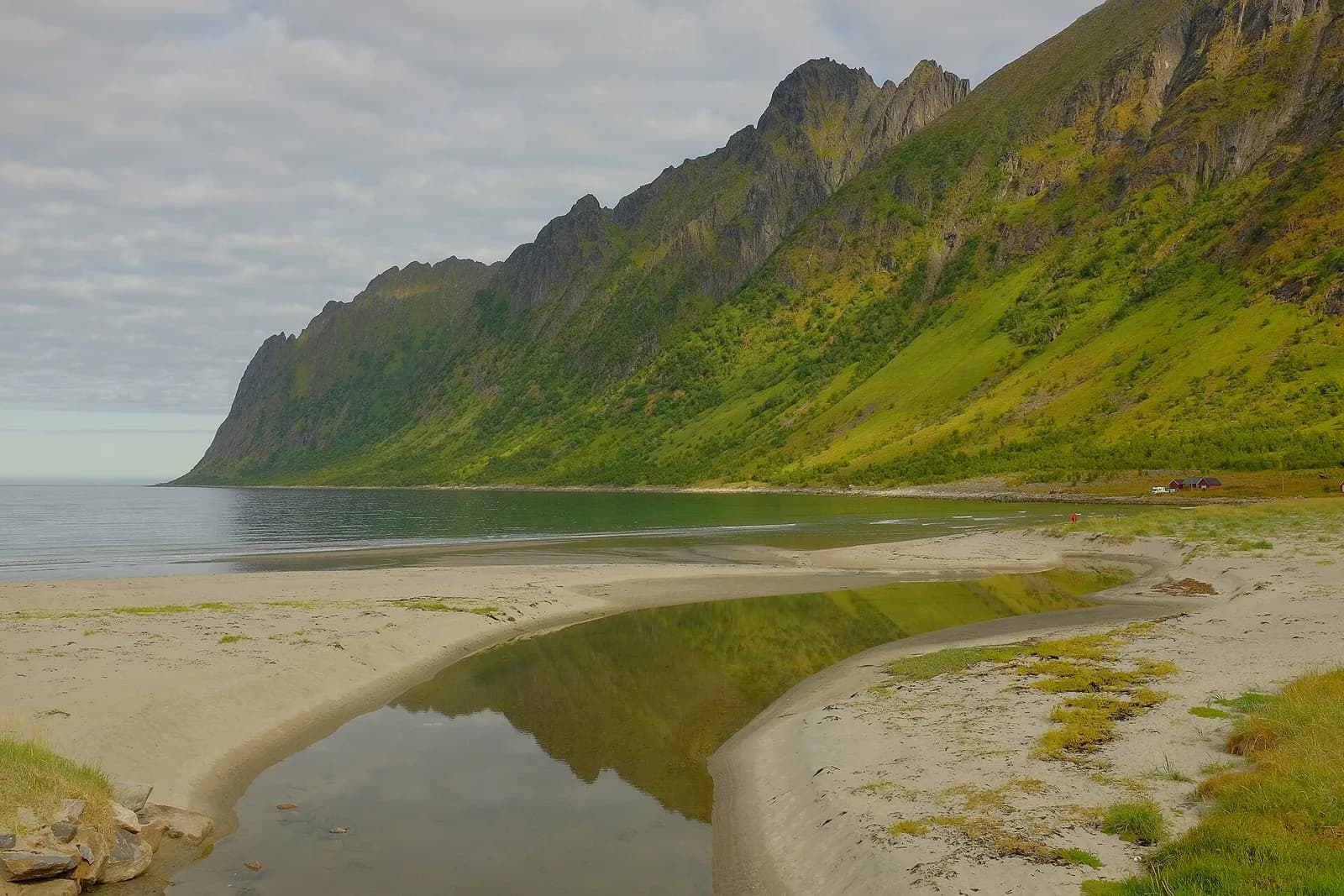 la plage de sable d'Ersfjordstranda et les falaises verdoyantes d'Okshornan à Senja