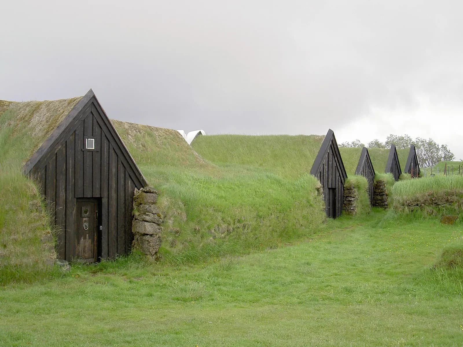 maisons traditionnelles en tourbe aux toits d'herbe et portes en bois à Keldur, dans le sud de l'Islande