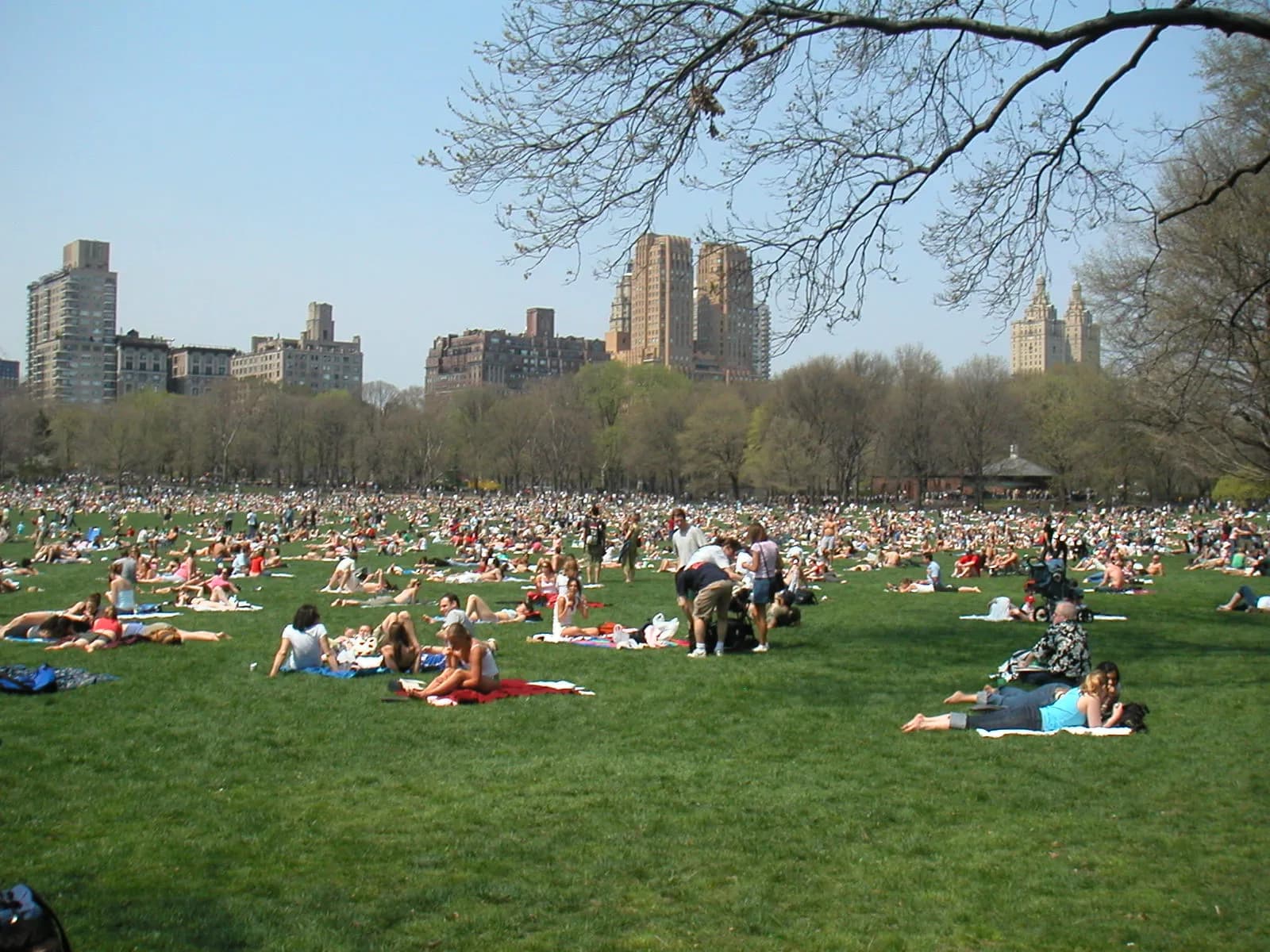 pique-niqueurs et bains de soleil sur la pelouse de Sheep Meadow par une journée de printemps