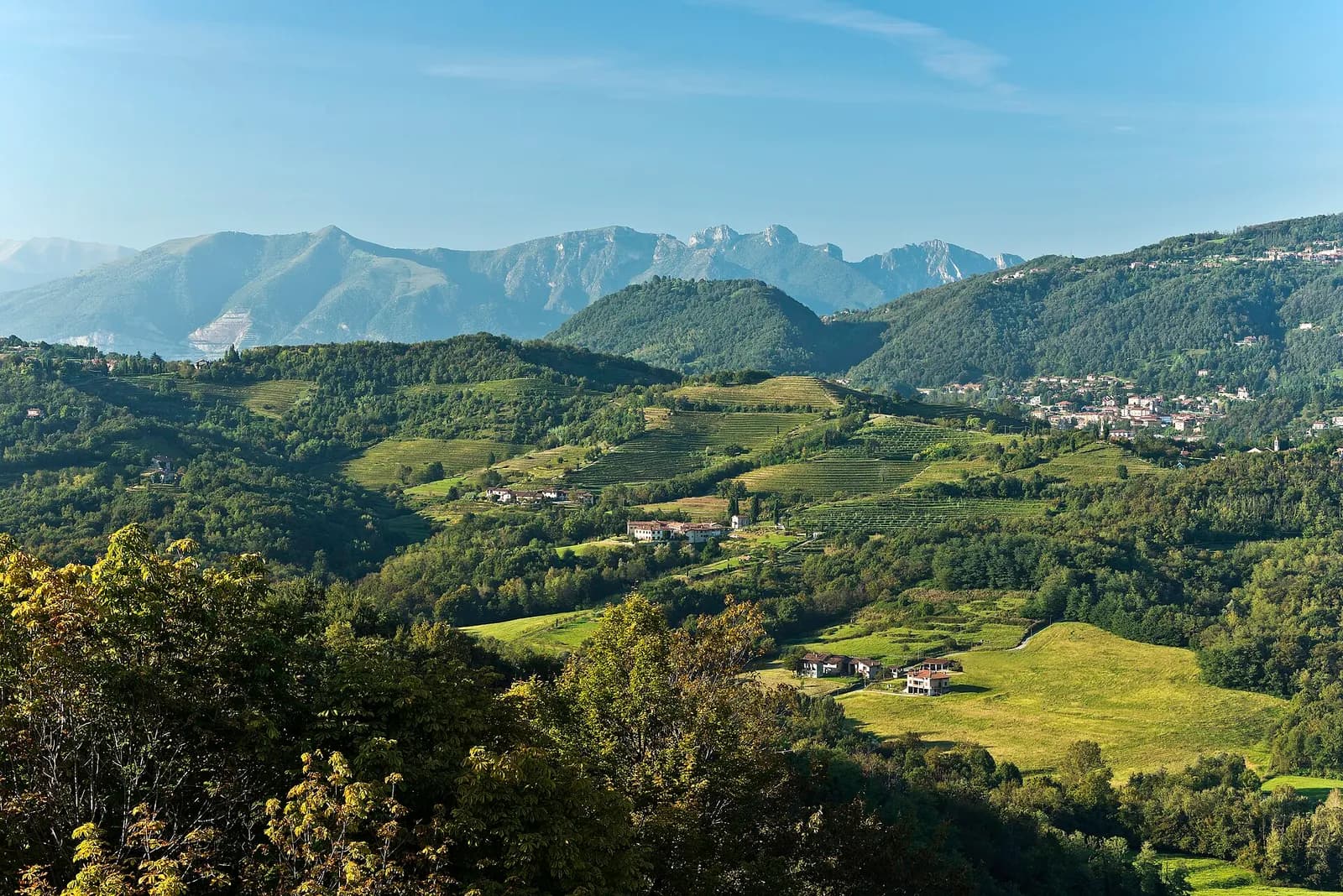collines et prairies de la Valle del Curone au pied des Préalpes