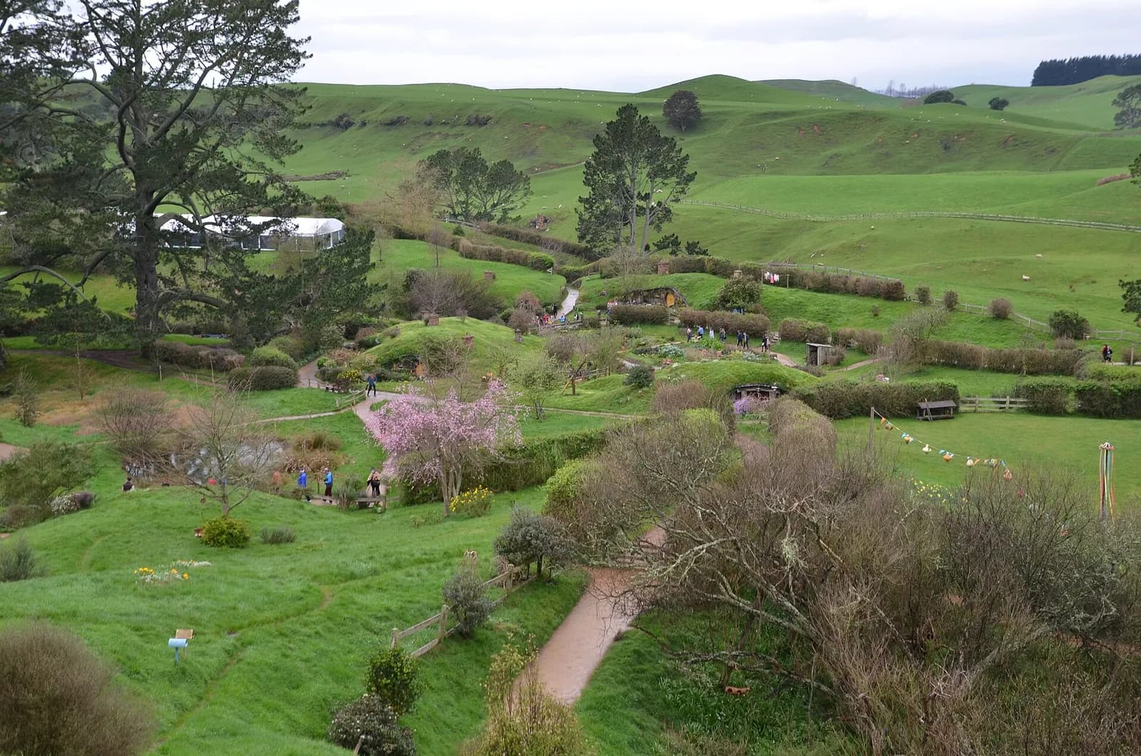les collines verdoyantes et les jardins du décor de Hobbiton, près de Matamata