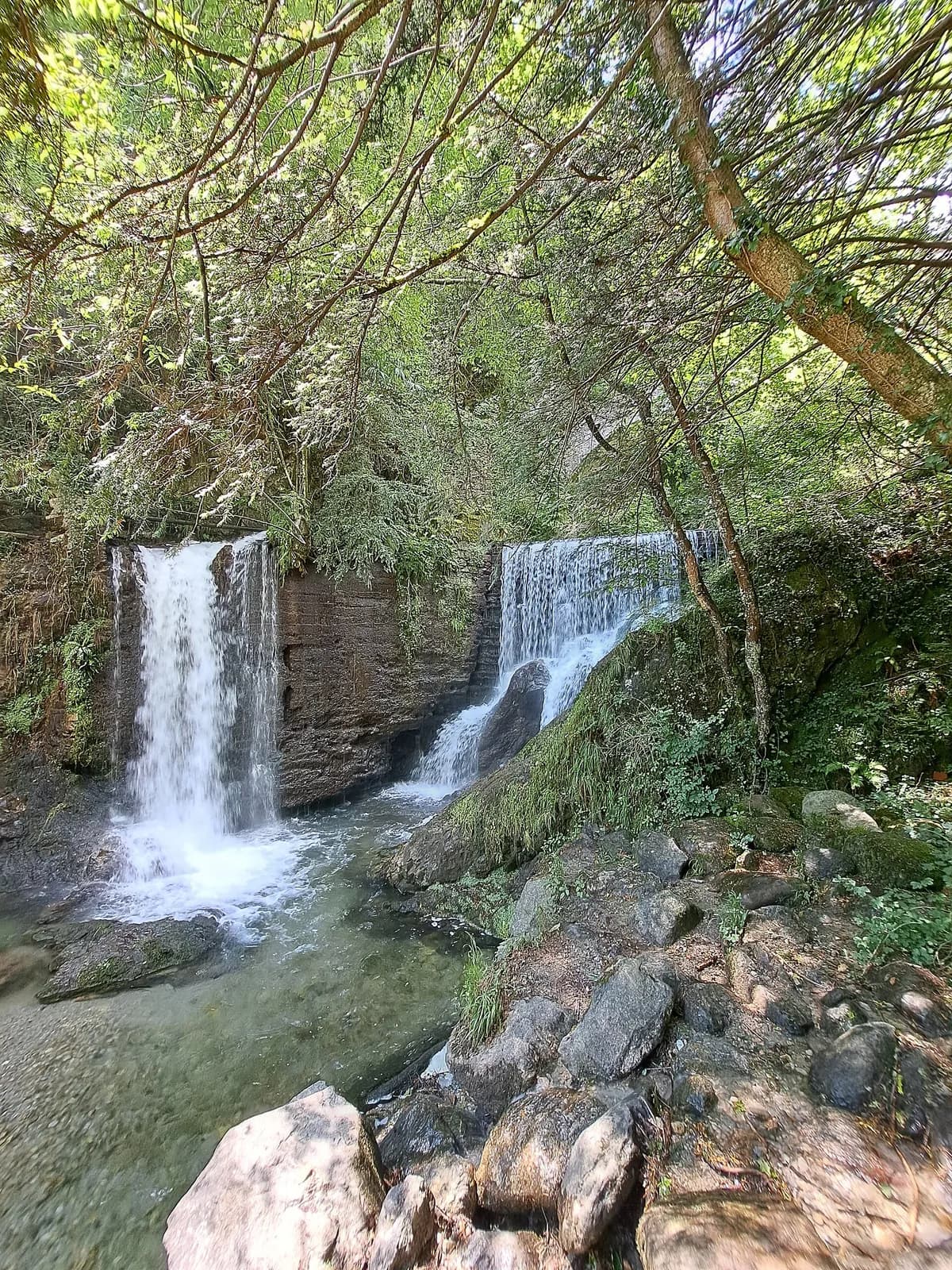 cascades jumelles dans la gorge boisée du parc de la Val Sanagra