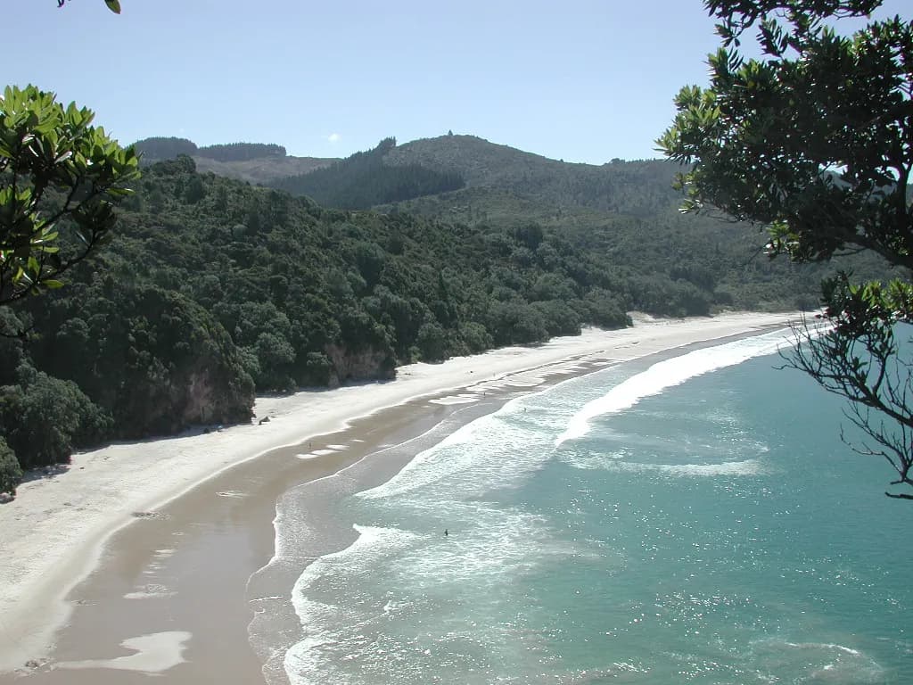 New Chums Beach vue depuis la pointe Motuto, entre forêt et vagues du Pacifique