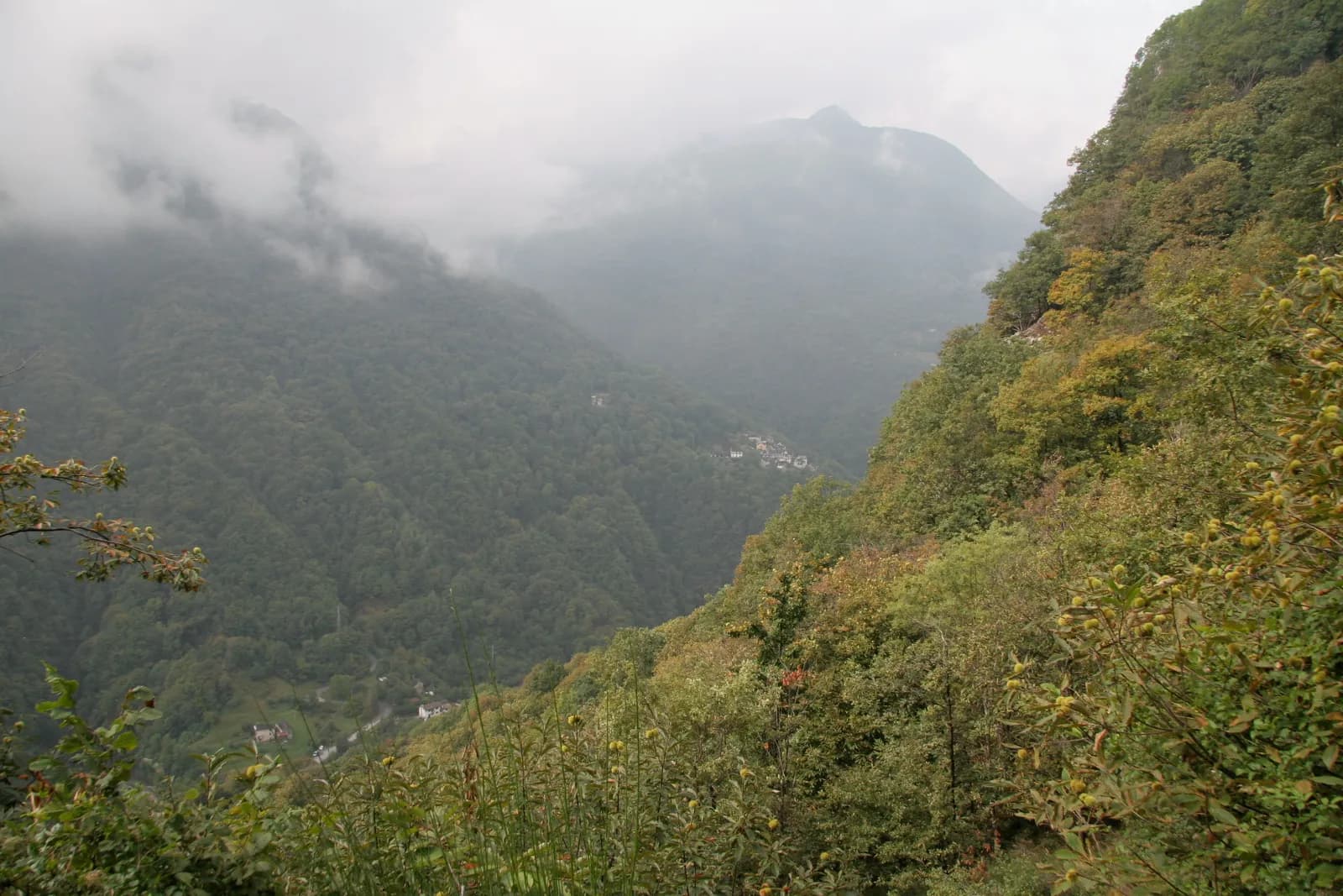 la Valle Cannobina et ses versants boisés noyés dans les nuages