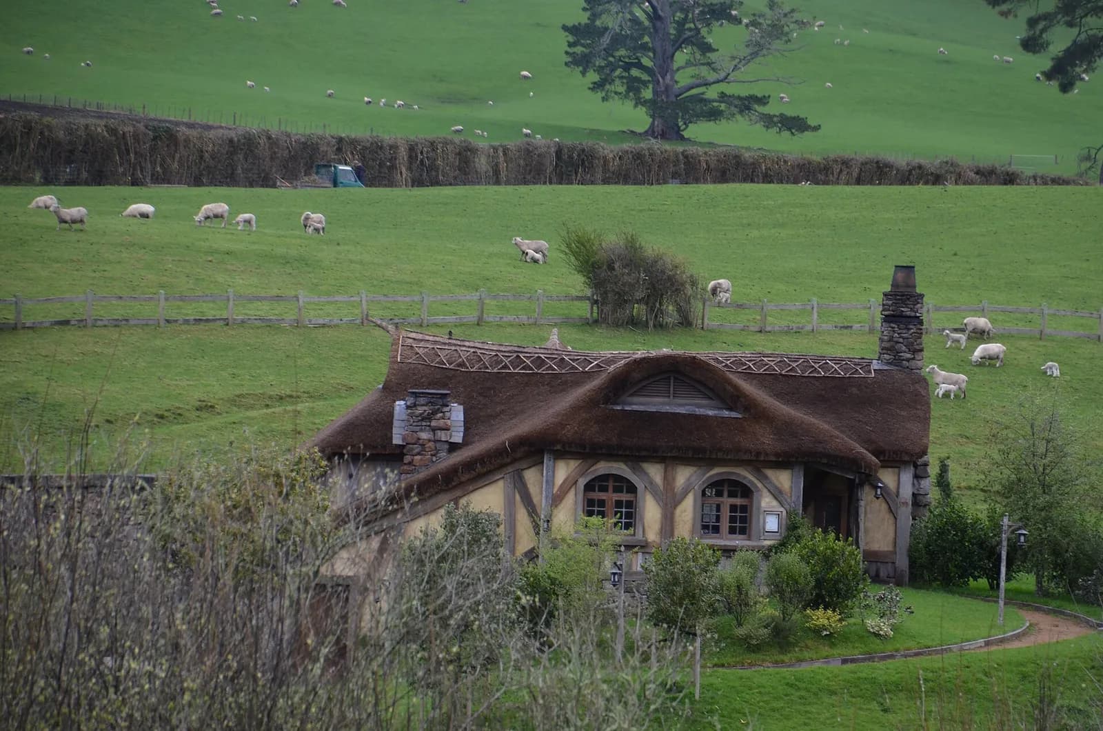 des moutons paissent dans les pâturages de la ferme qui entourent une maison de Hobbiton