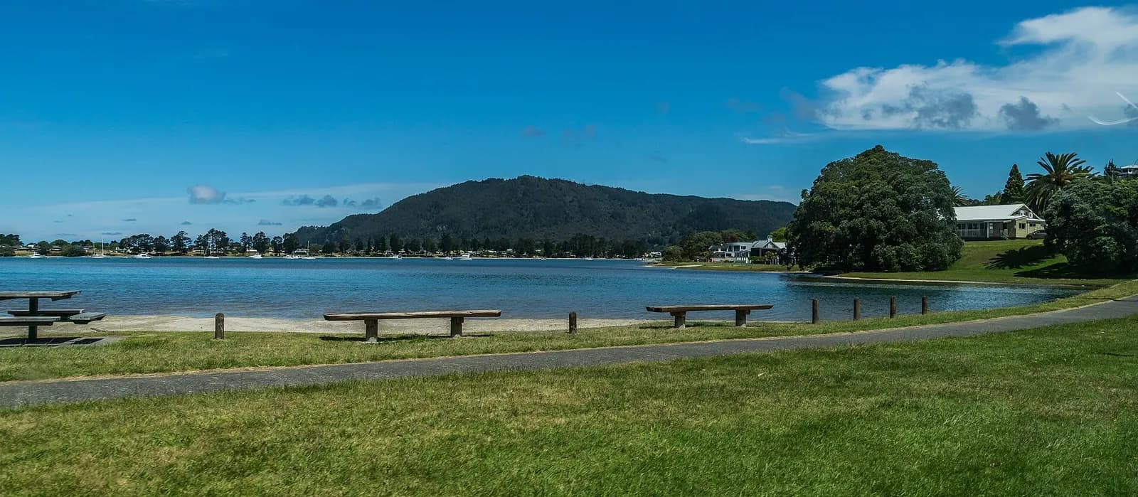 des bancs face au port de Tairua et aux collines boisées de Coromandel
