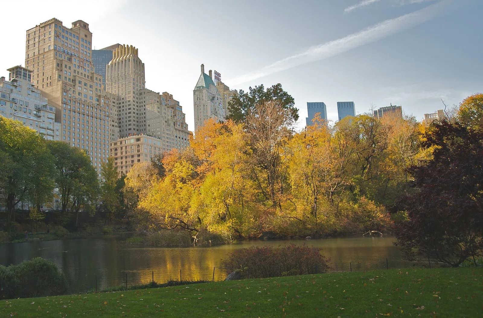 feuillages d'automne jaunes et orangés au bord de l'étang de Central Park