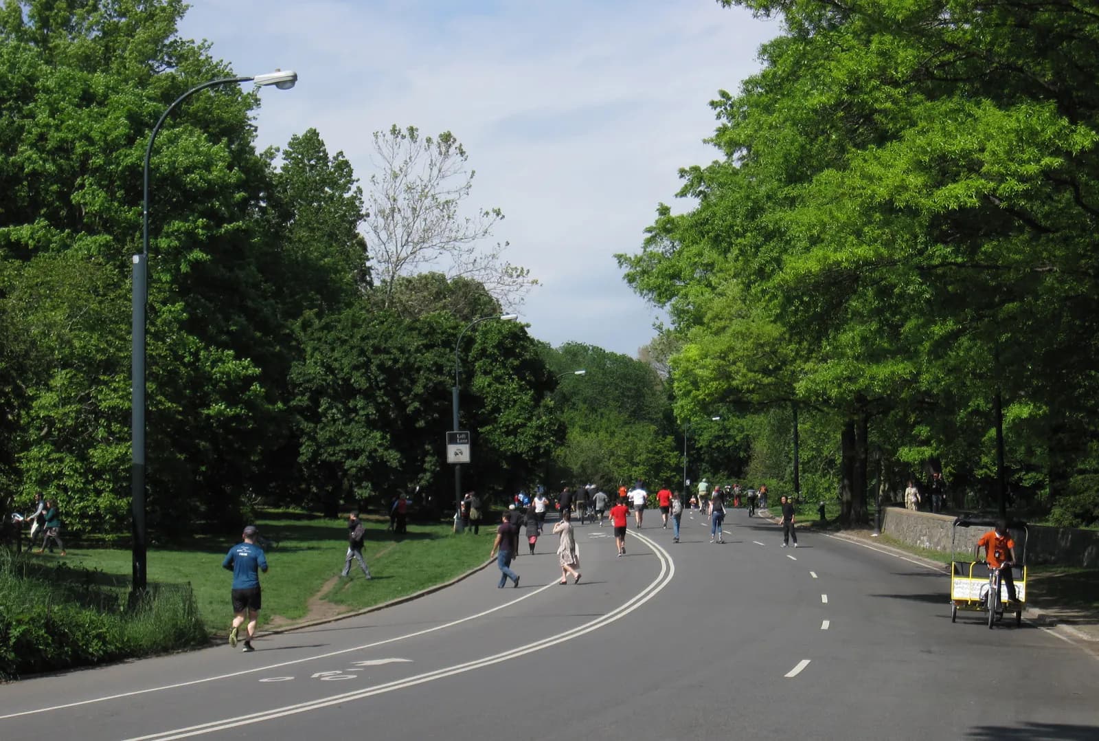 cyclistes, joggeurs et patineurs sur une allée arborée de Central Park fermée aux voitures