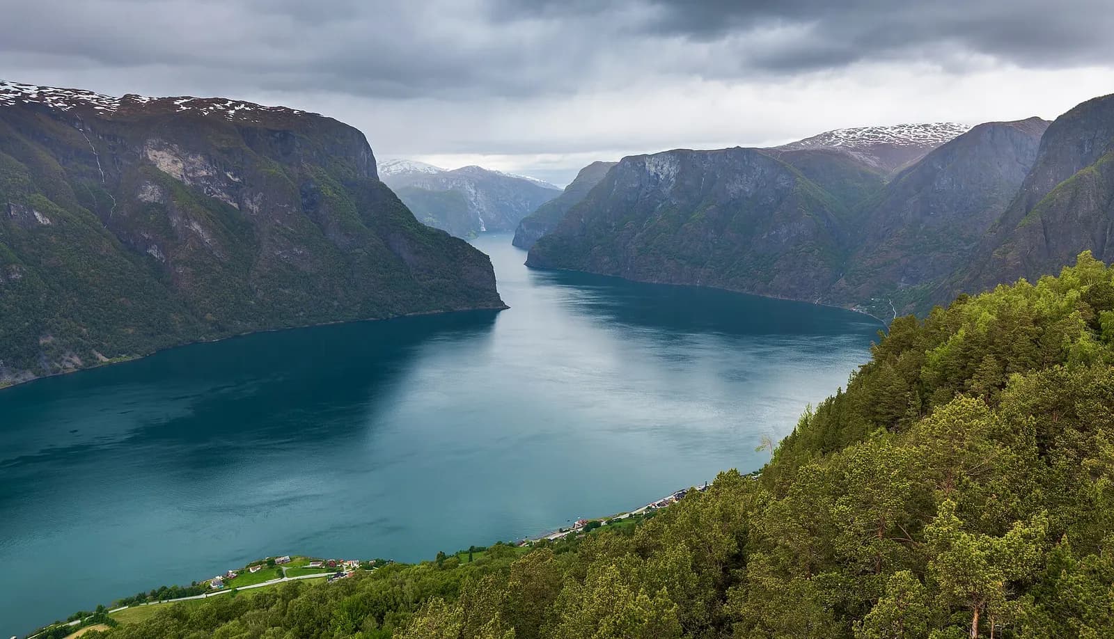 l'Aurlandsfjord s'enfonçant entre de hautes parois boisées, vu de Stegastein en juin