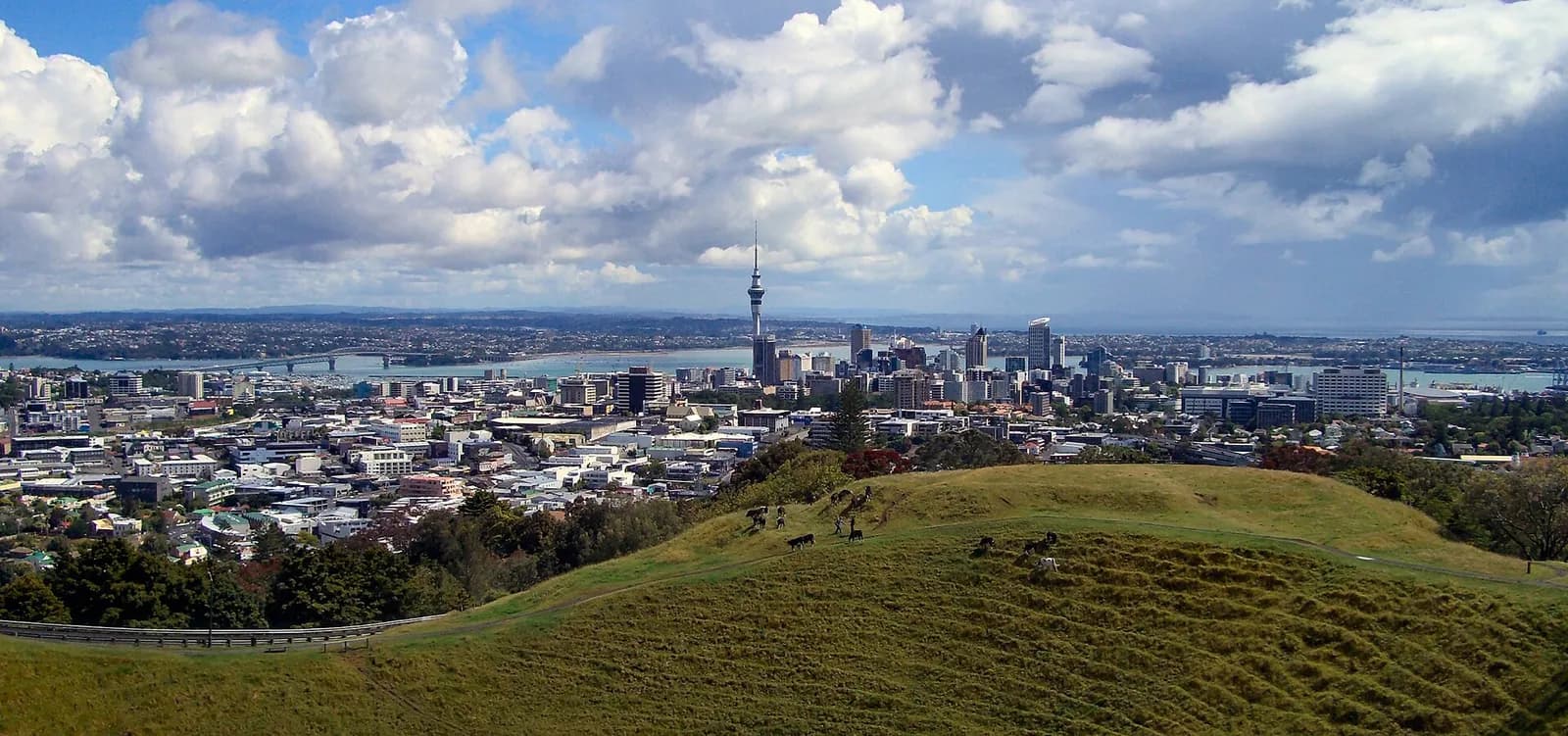 le centre d'Auckland et la Sky Tower vus depuis les pentes herbeuses du mont Eden