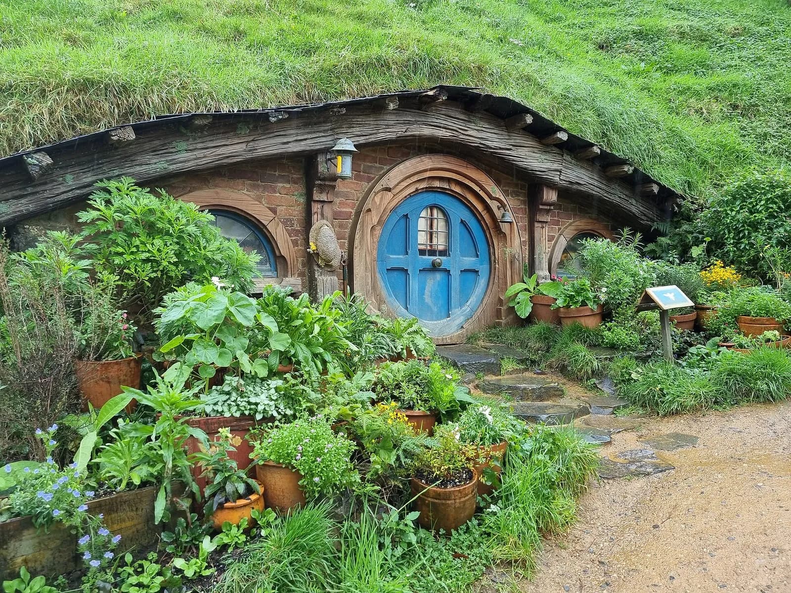 une maison de hobbit à la porte bleue entourée de plantes en pots et de fleurs