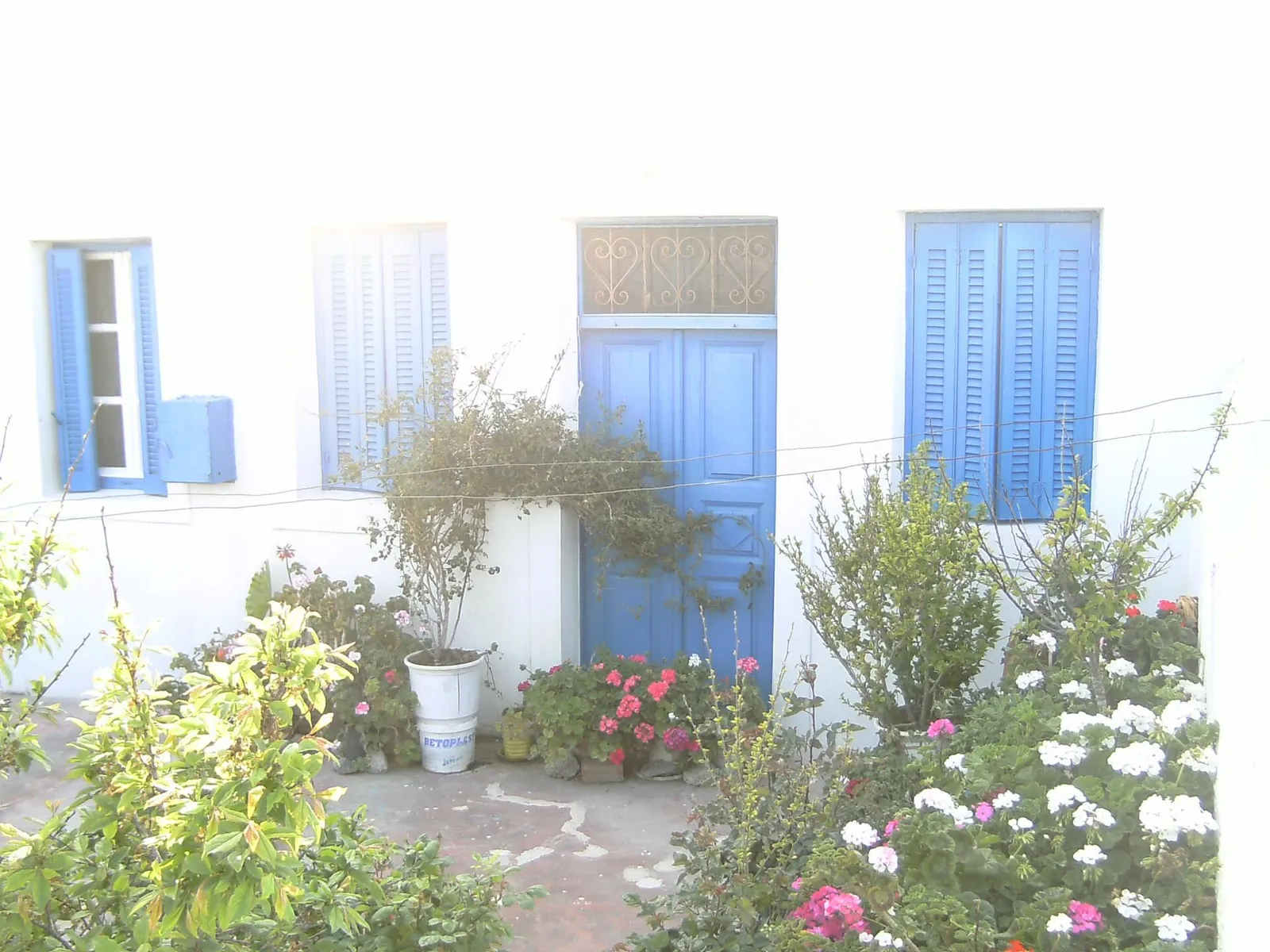 maison blanche aux volets bleus et jardin fleuri à Manolas, sur Thirassia
