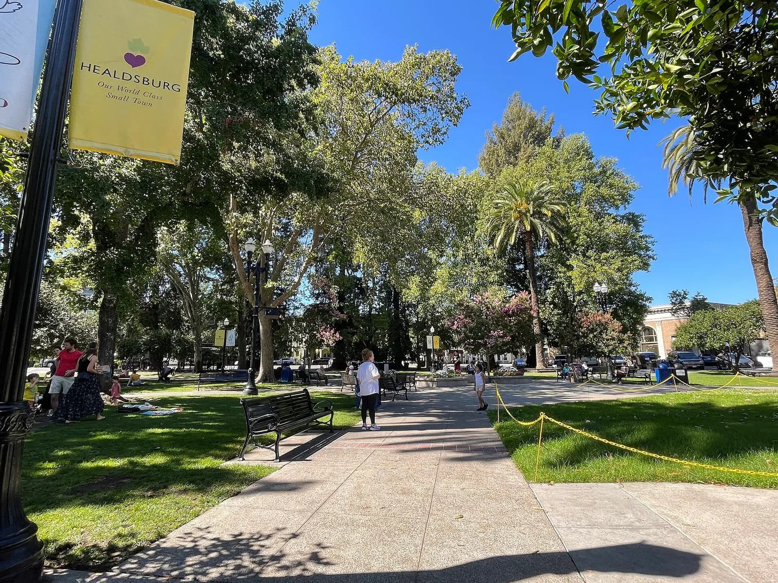 allées ombragées et palmiers de la place centrale de Healdsburg, en Californie