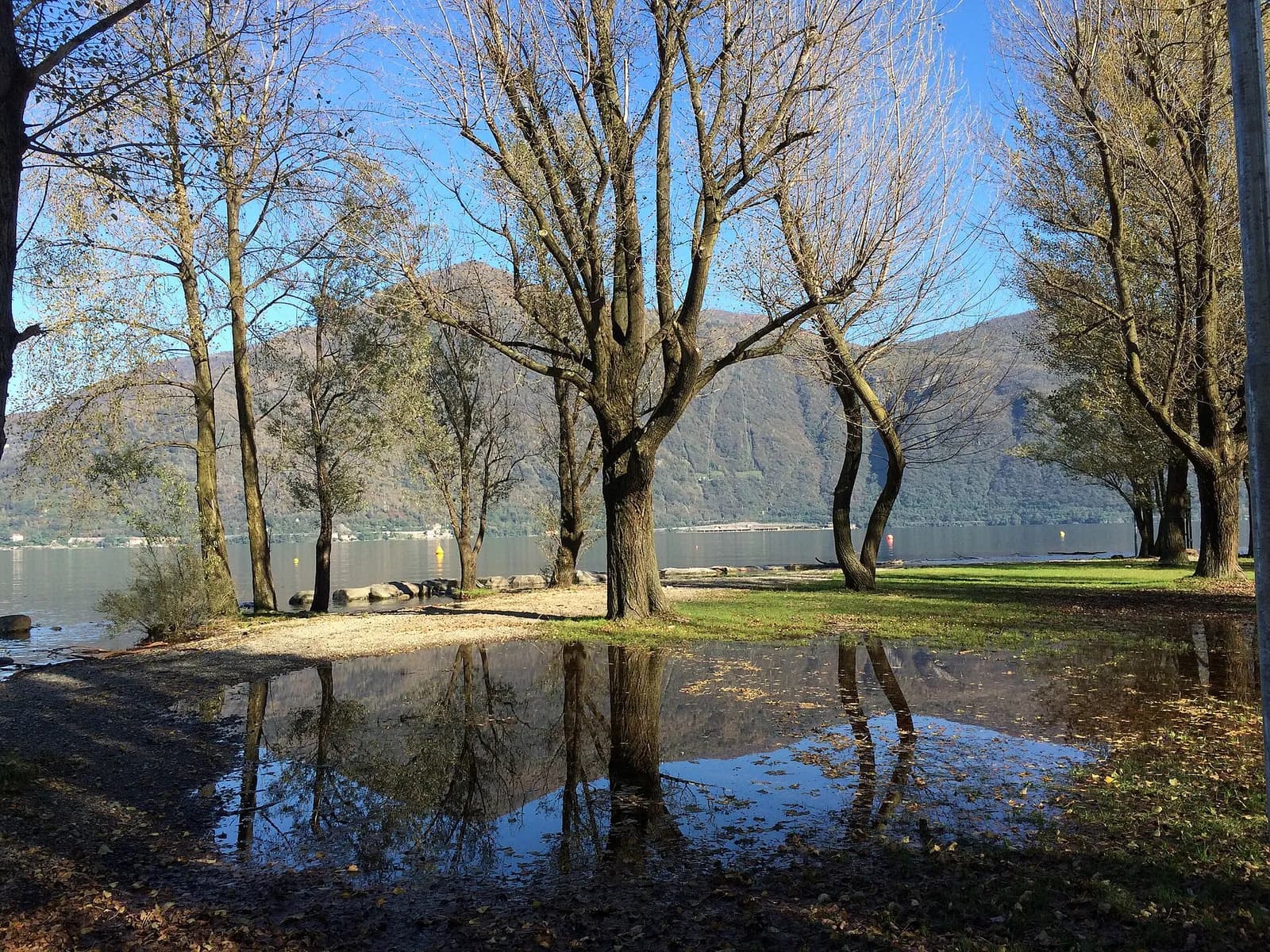 le parc du Lido de Cannobio et ses arbres au bord du lac Majeur