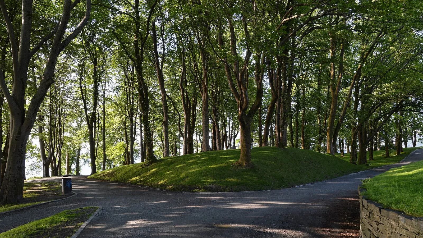 allée ombragée bordée de pelouses dans le parc de Nordnesparken à Bergen