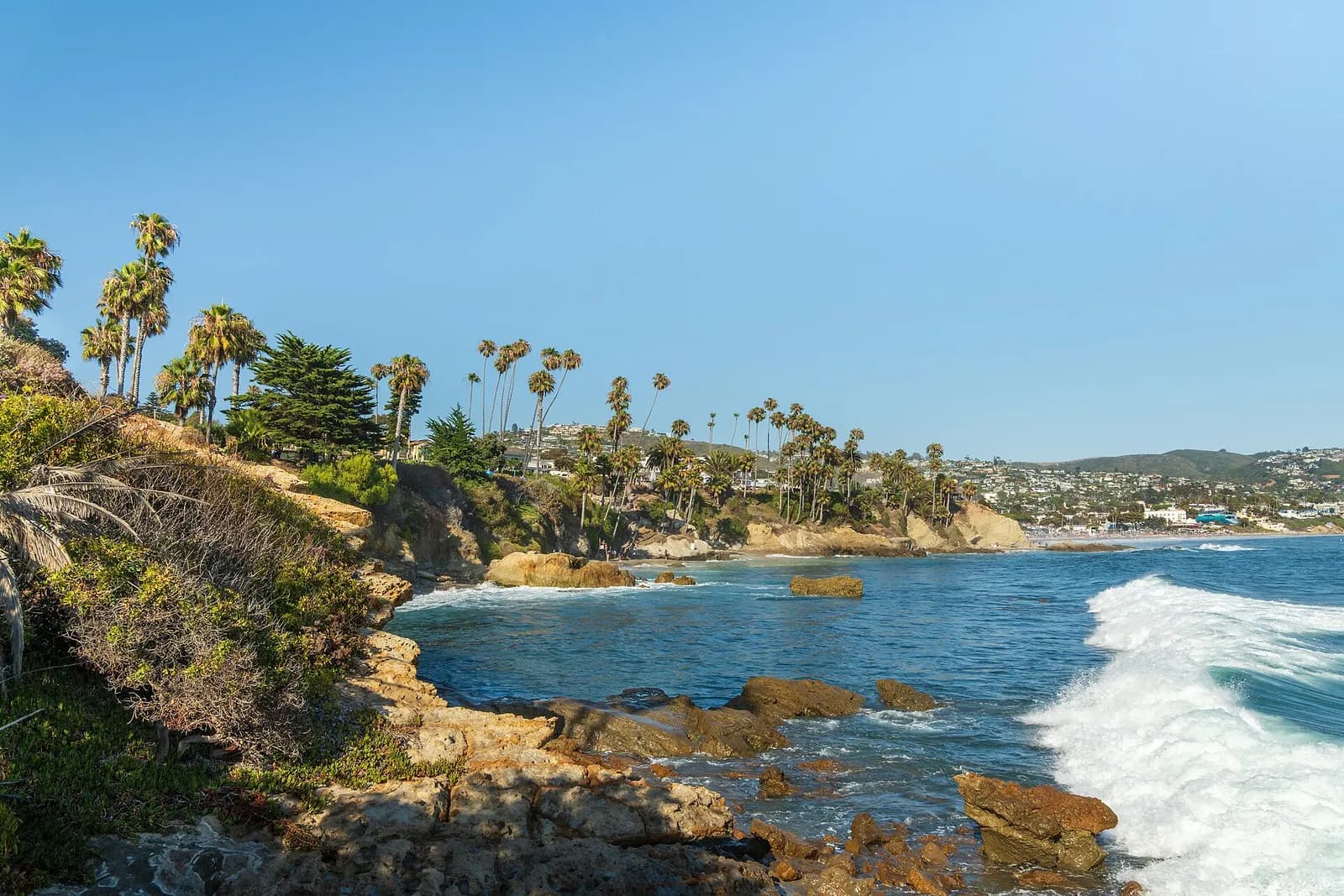 falaises, palmiers et vagues du parc Heisler au bord de l'océan à Laguna Beach