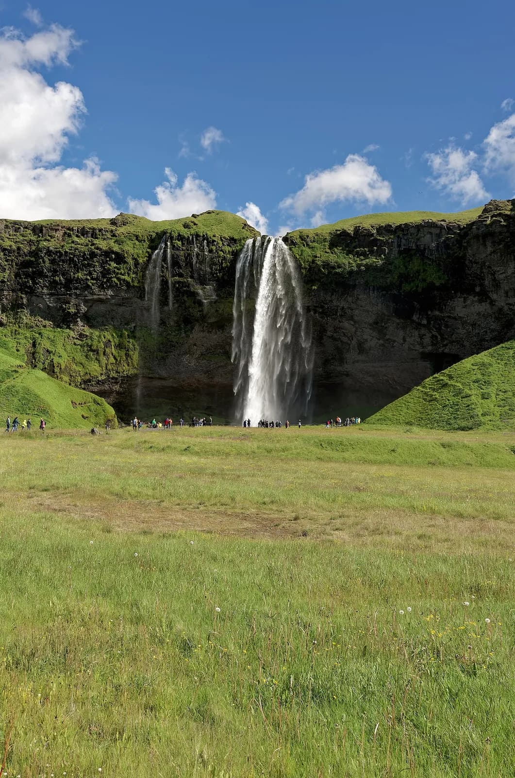 la cascade de Seljalandsfoss tombant d'une falaise verdoyante sur la côte sud de l'Islande