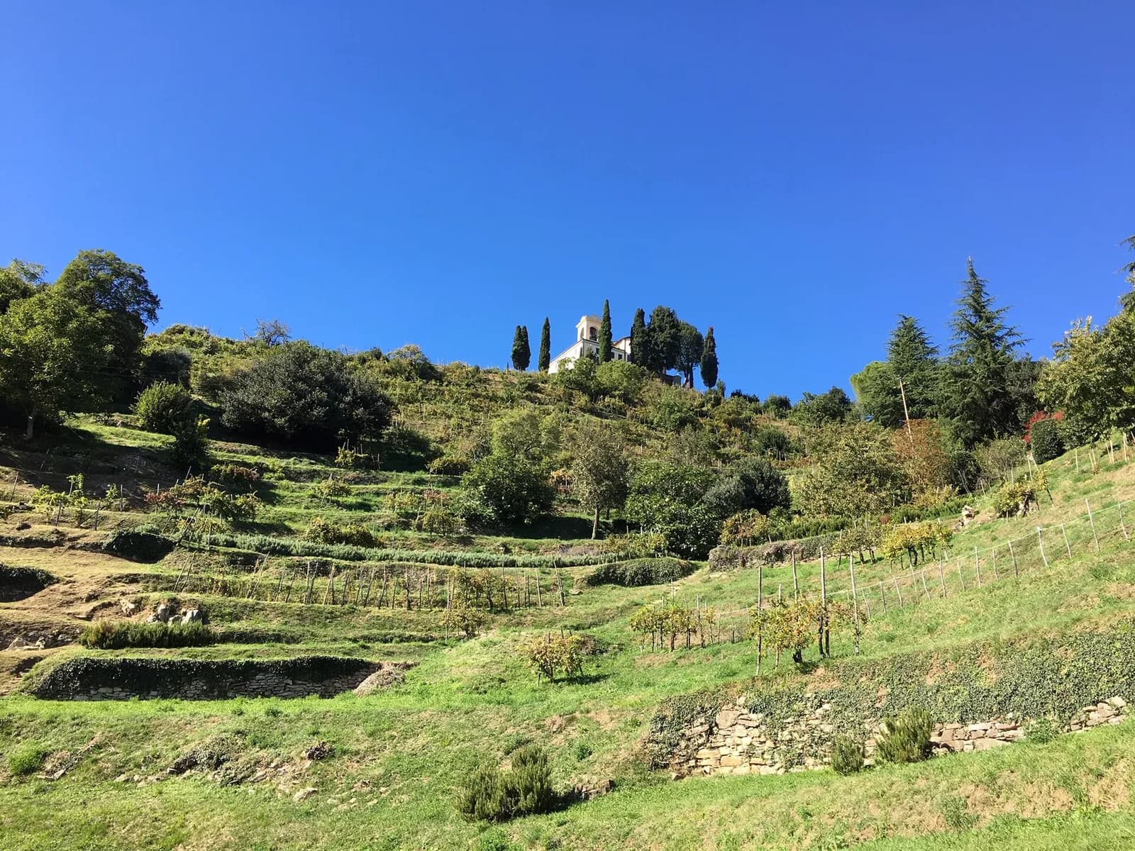 le sanctuaire de Montevecchia au sommet de collines en terrasses verdoyantes
