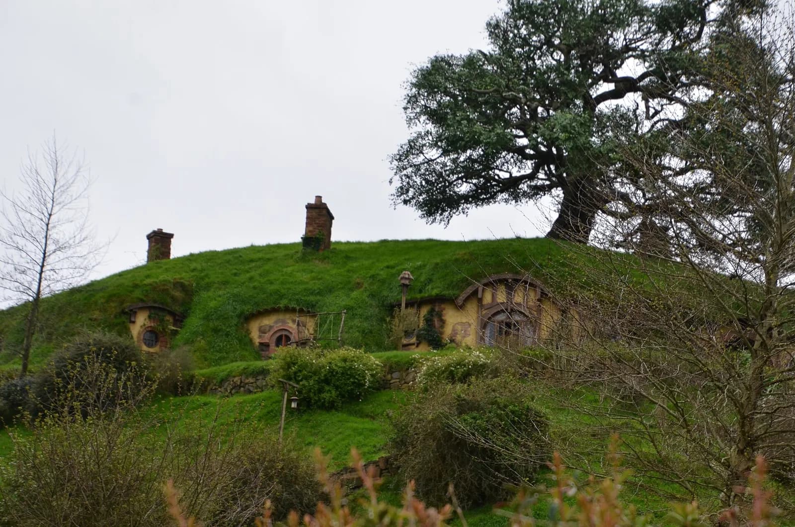 la colline de Cul-de-Sac coiffée de son grand arbre et de ses cheminées à Hobbiton