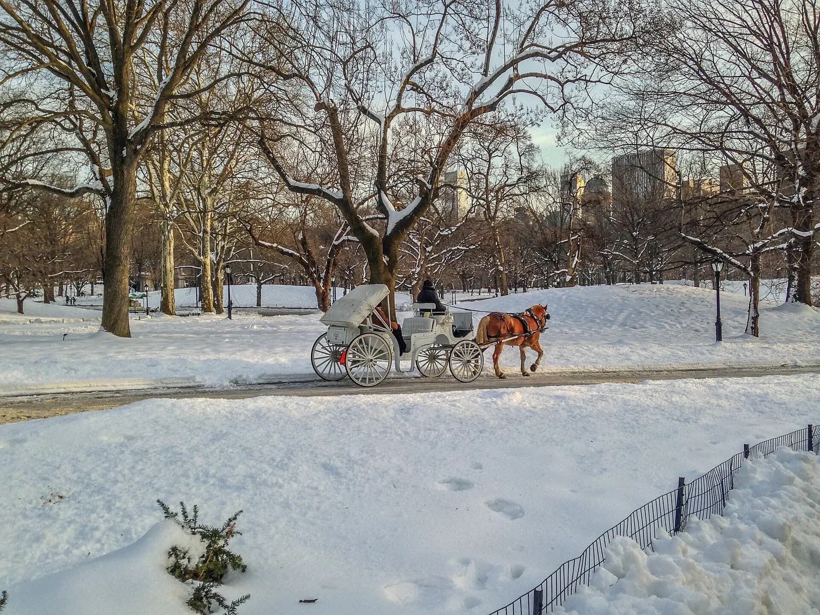 calèche tirée par un cheval sur une allée enneigée de Central Park en hiver