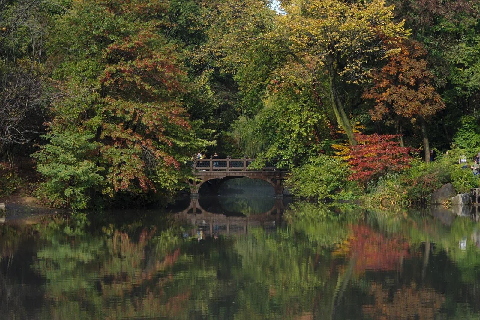 petit pont de bois au-dessus d'un étang bordé d'arbres aux couleurs d'automne dans Central Park