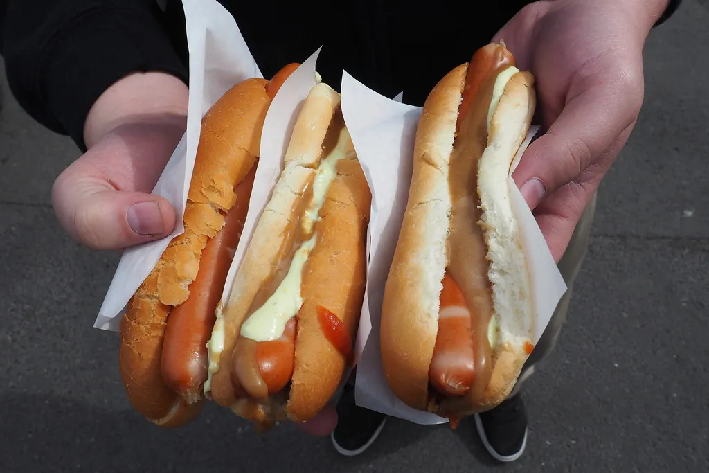 deux hot-dogs islandais garnis de sauce rémoulade et d'oignons frits, tenus à la main