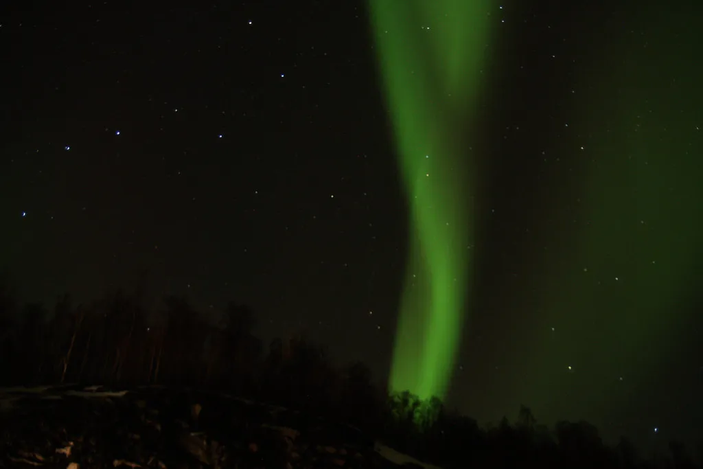 colonne d'aurore boréale verte s'élevant au-dessus d'une forêt dans la nuit de Tromsø