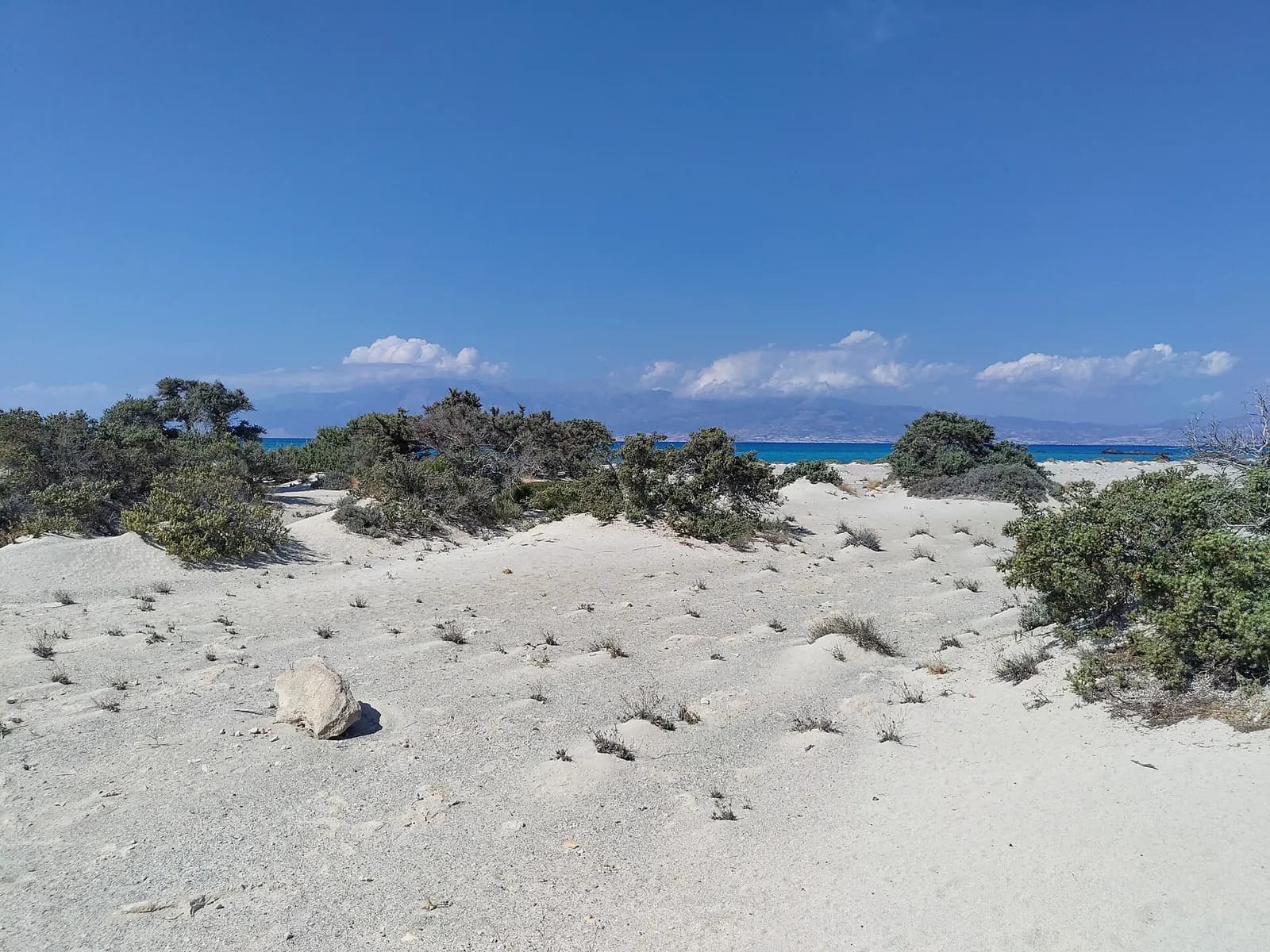 The sand dunes of Chrissi Island