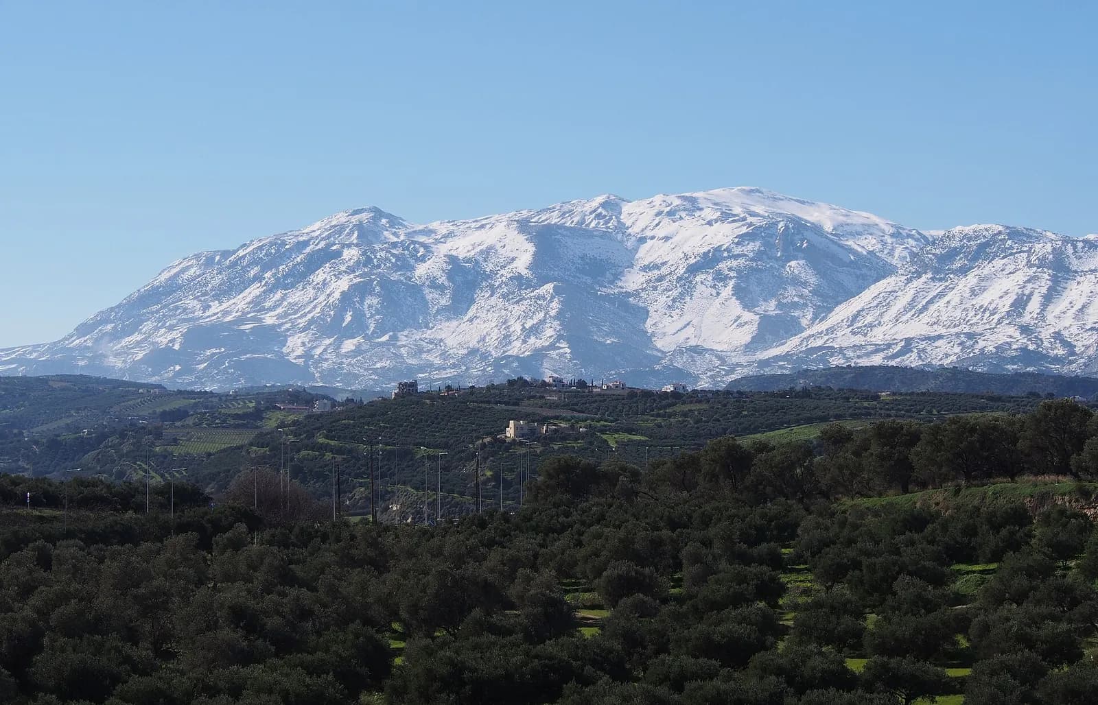 Le massif du Psiloritis couvert de neige au-dessus des oliveraies de la région d'Héraklion
