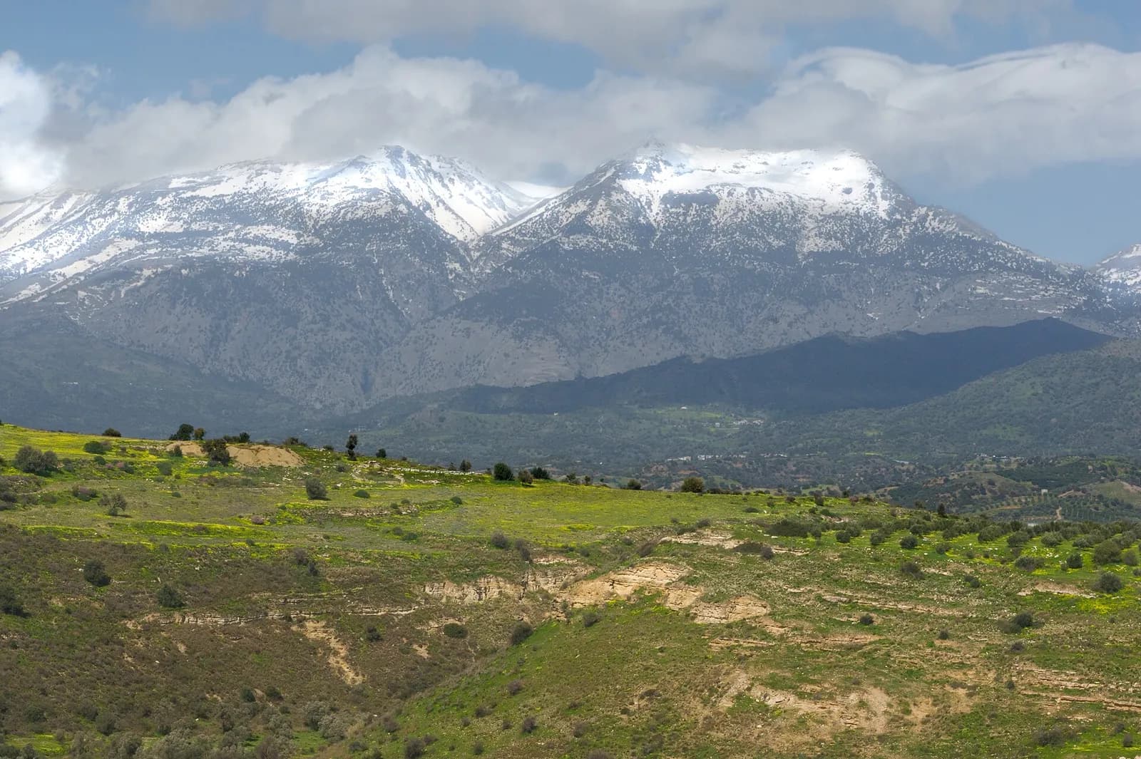 Collines vertes fleuries de jaune près de Phaistos sous les sommets encore enneigés du mont Ida