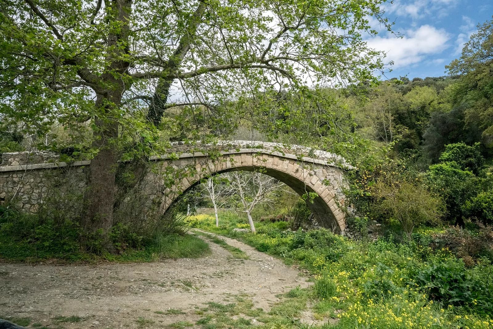Le vieux pont de pierre en arche qui enjambe les gorges de Richtis, entouré de platanes au printemps