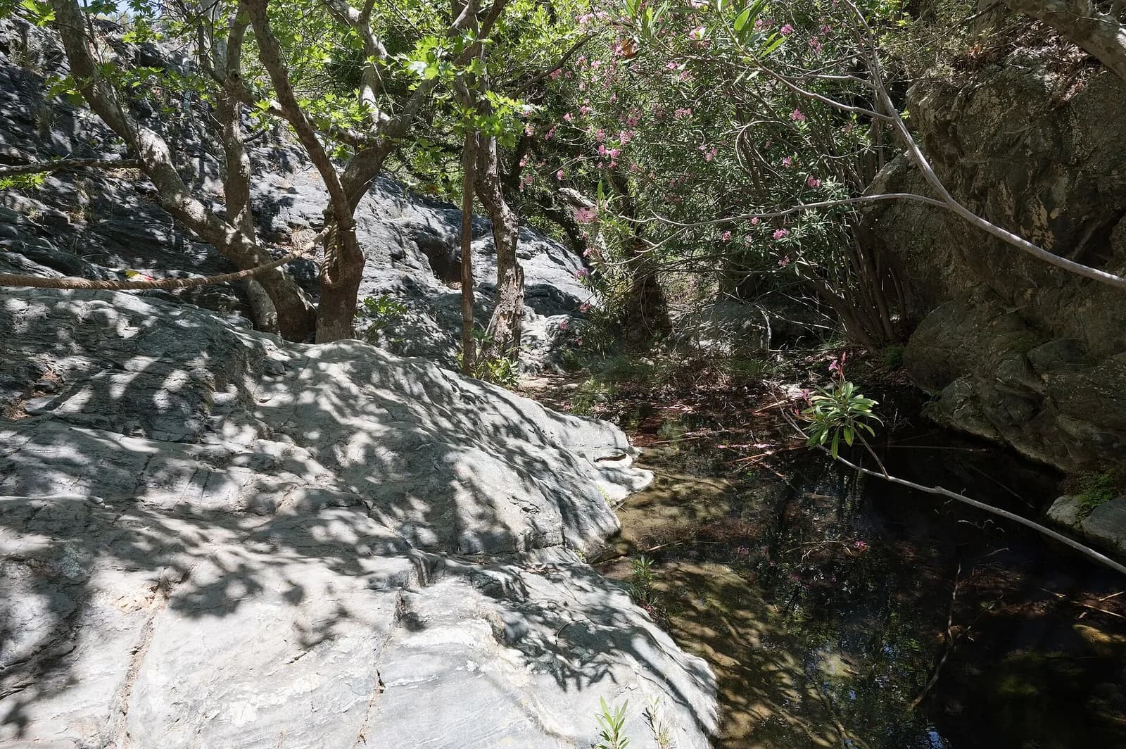 Rochers lisses et ruisseau ombragé sous les arbres le long du sentier des gorges de Richtis